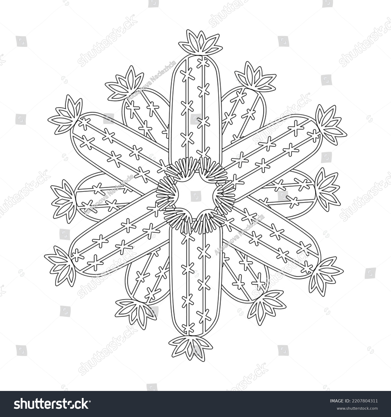 Succulents Cacti Coloring Page Mandala Black Stock Vector (Royalty Free ...