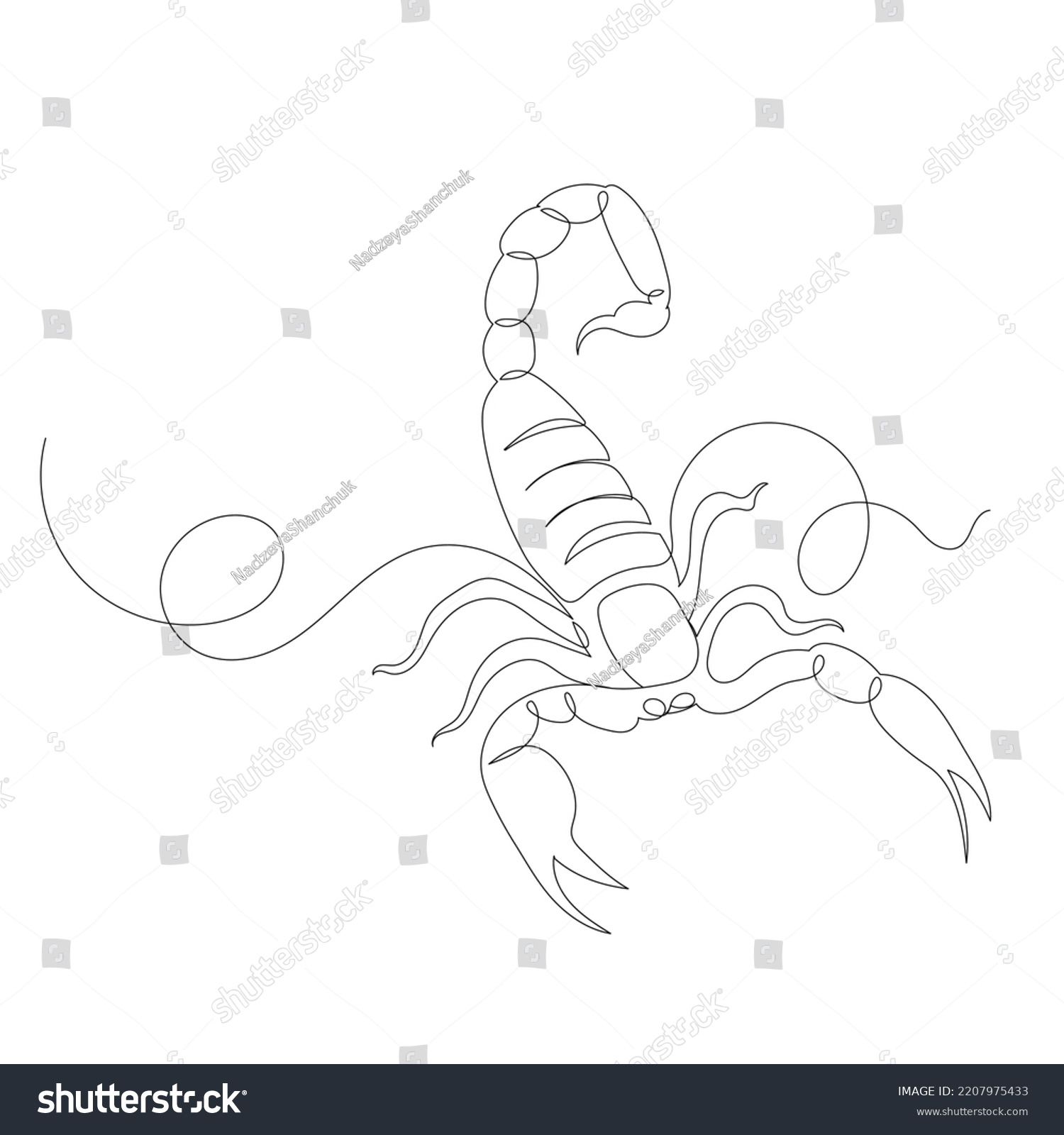 Scorpion One Line Drawing Sketch Isolated Stock Vector (Royalty Free ...