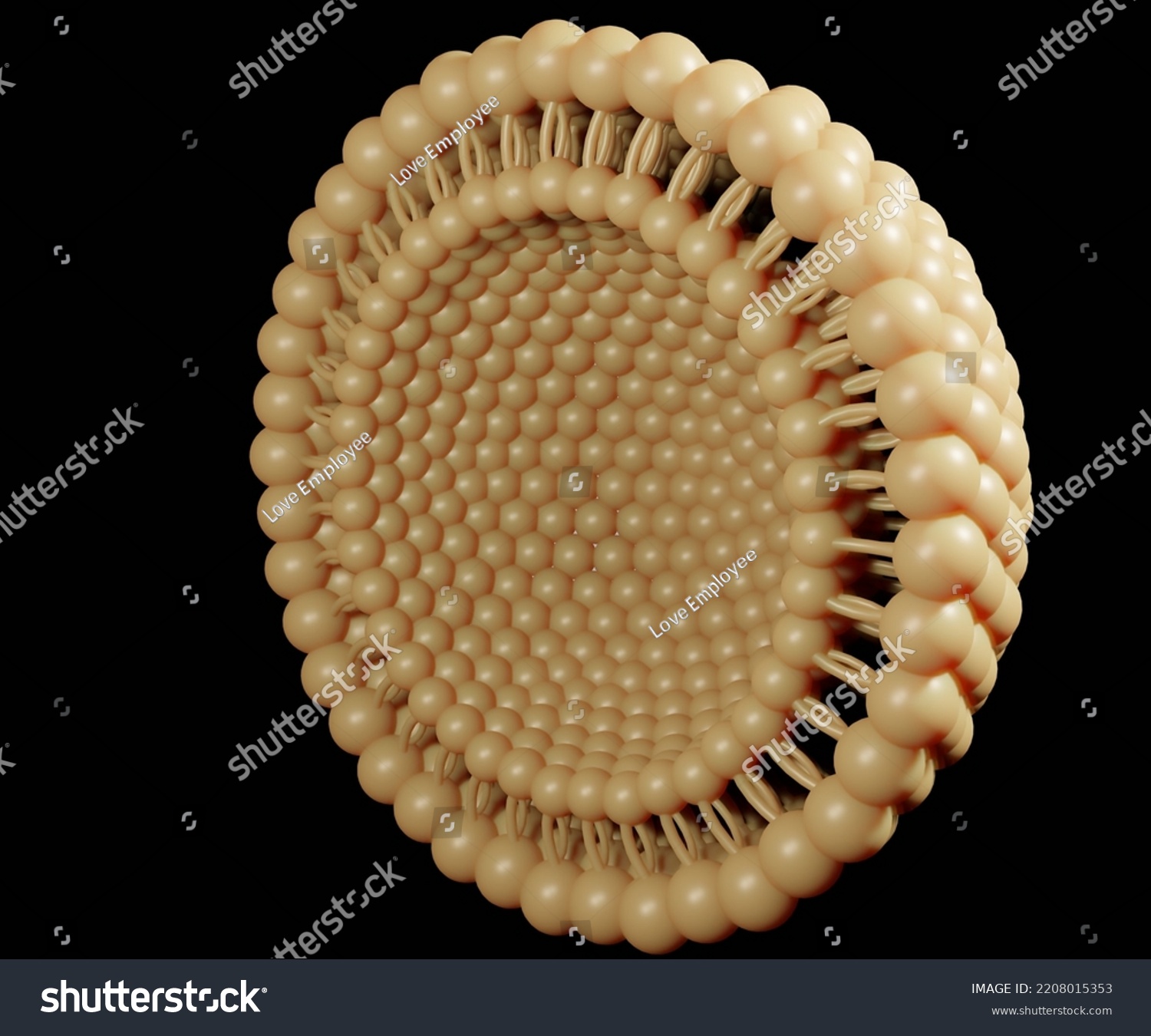 Niosomes Microscopic Lamellar Structures Emerging Drug Stock ...