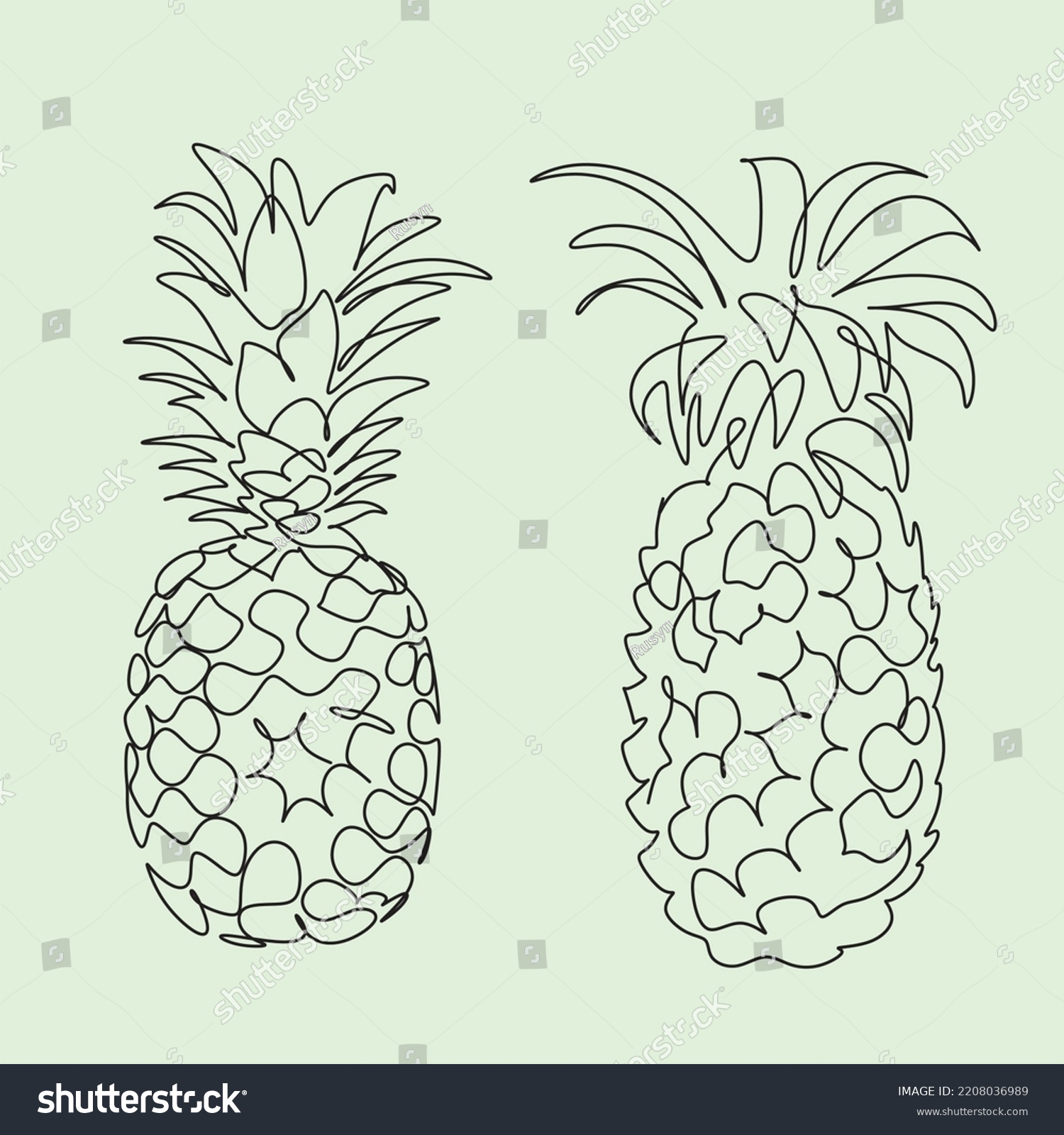 Pineapple Vector Line Art Tropical Fruits Stock Vector (Royalty Free ...