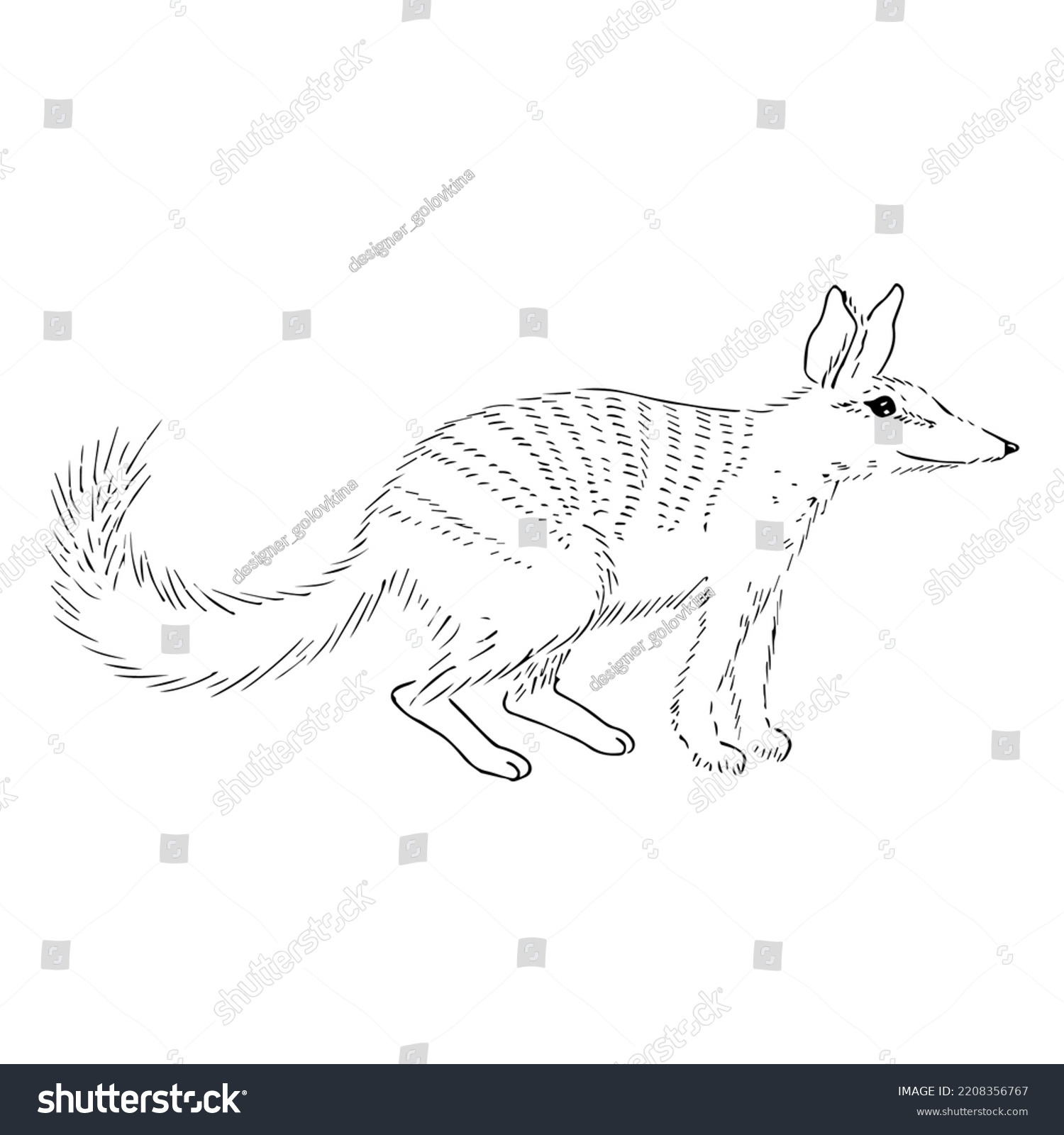 Numbat Sketch Illustration Cute Cartoon Style Stock Vector (Royalty ...