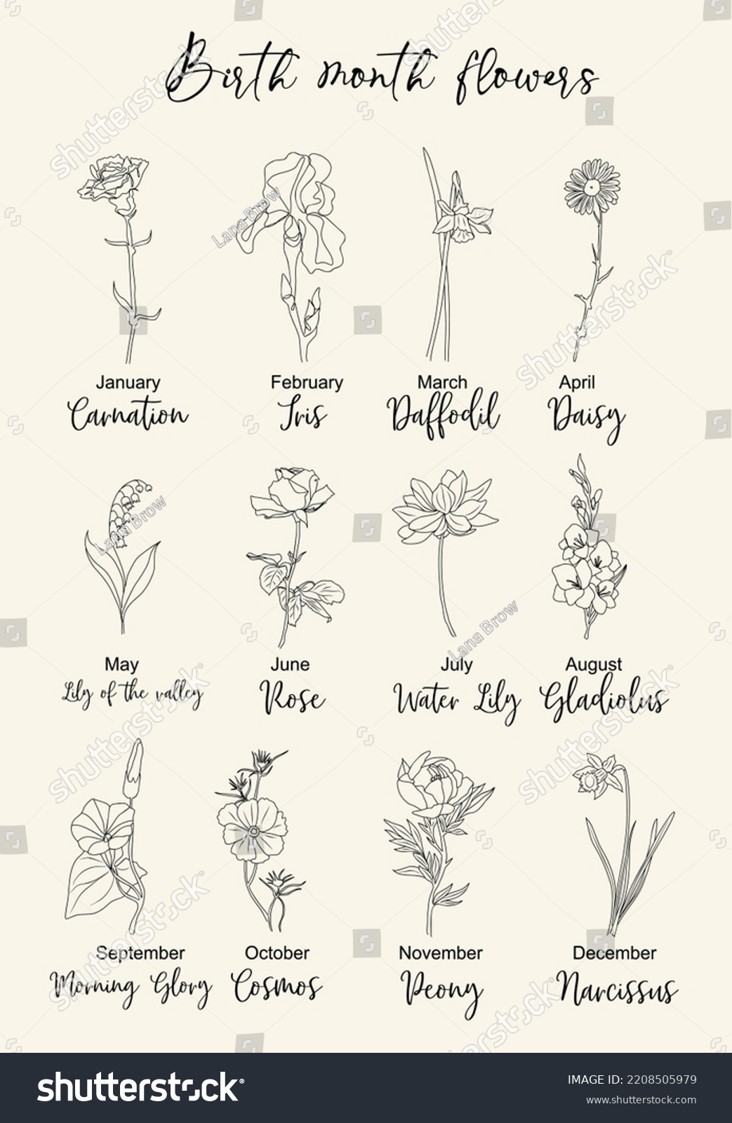 Set Birth Month Flowers Line Art Stock Vector Royalty Free 2208505979 Shutterstock