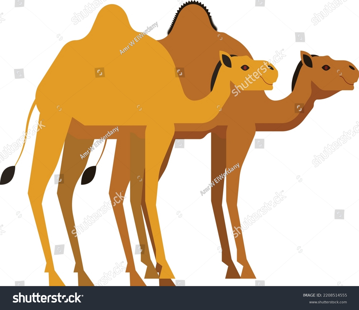 Camel Cartoon Illustration Ancient Egypt Stock Vector (Royalty Free ...