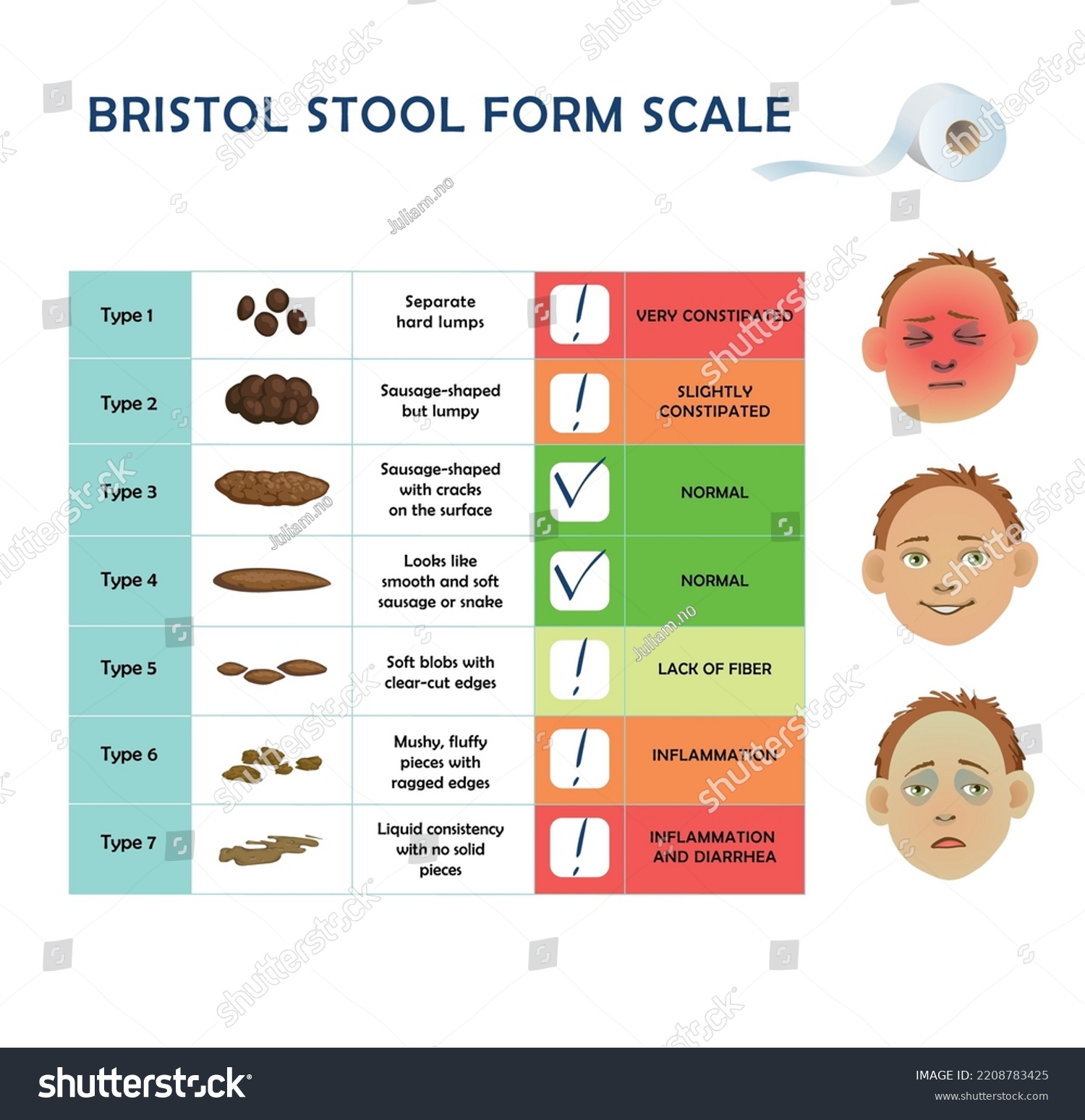 Bristol Stool Scale Table Medical Diagnostic Stock Vector (Royalty Free ...