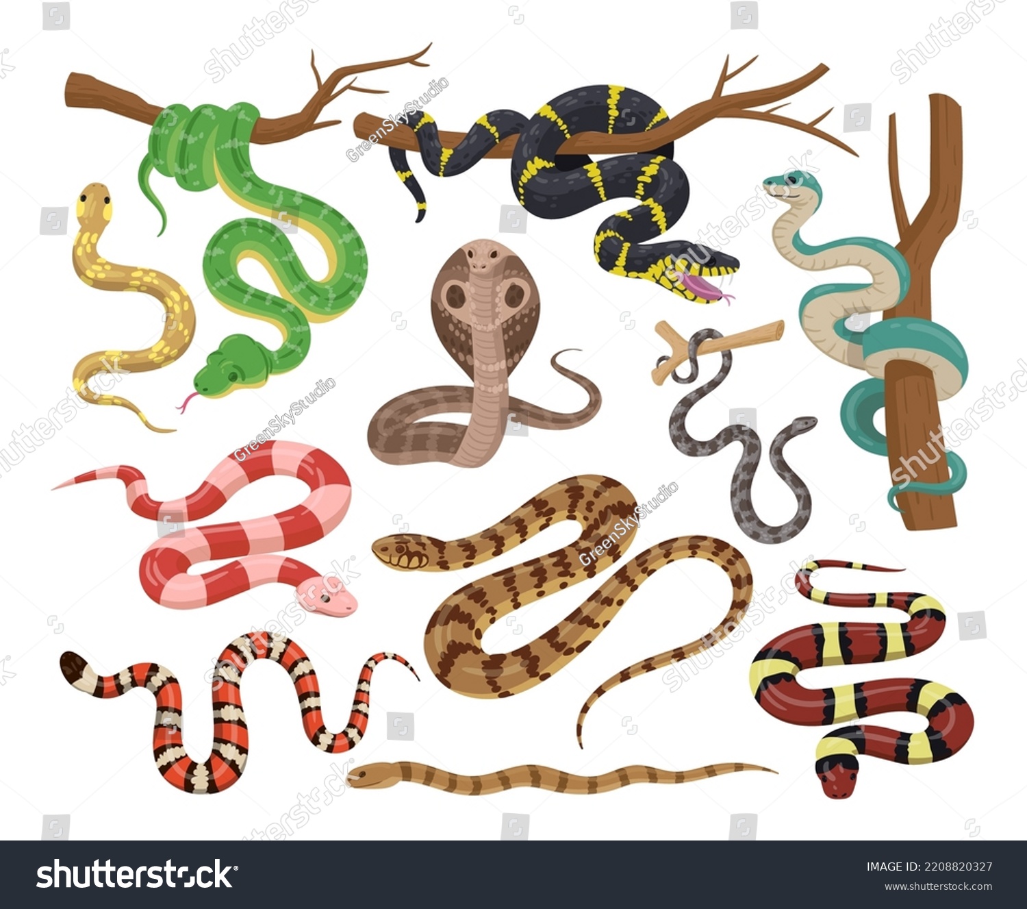 Cartoon Snakes Wildlife Reptiles Exotic Poisoned Stock Vector (Royalty ...