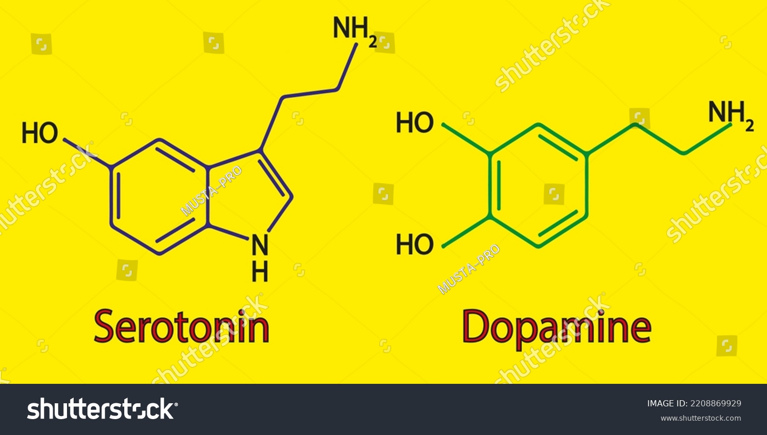 Molecular Structure Dopamine Serotonin Neurotransmitter Molecule Stock Vector Royalty Free