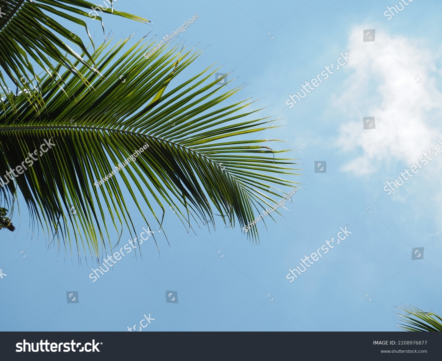 217 ธรรมชาติ Images, Stock Photos & Vectors | Shutterstock