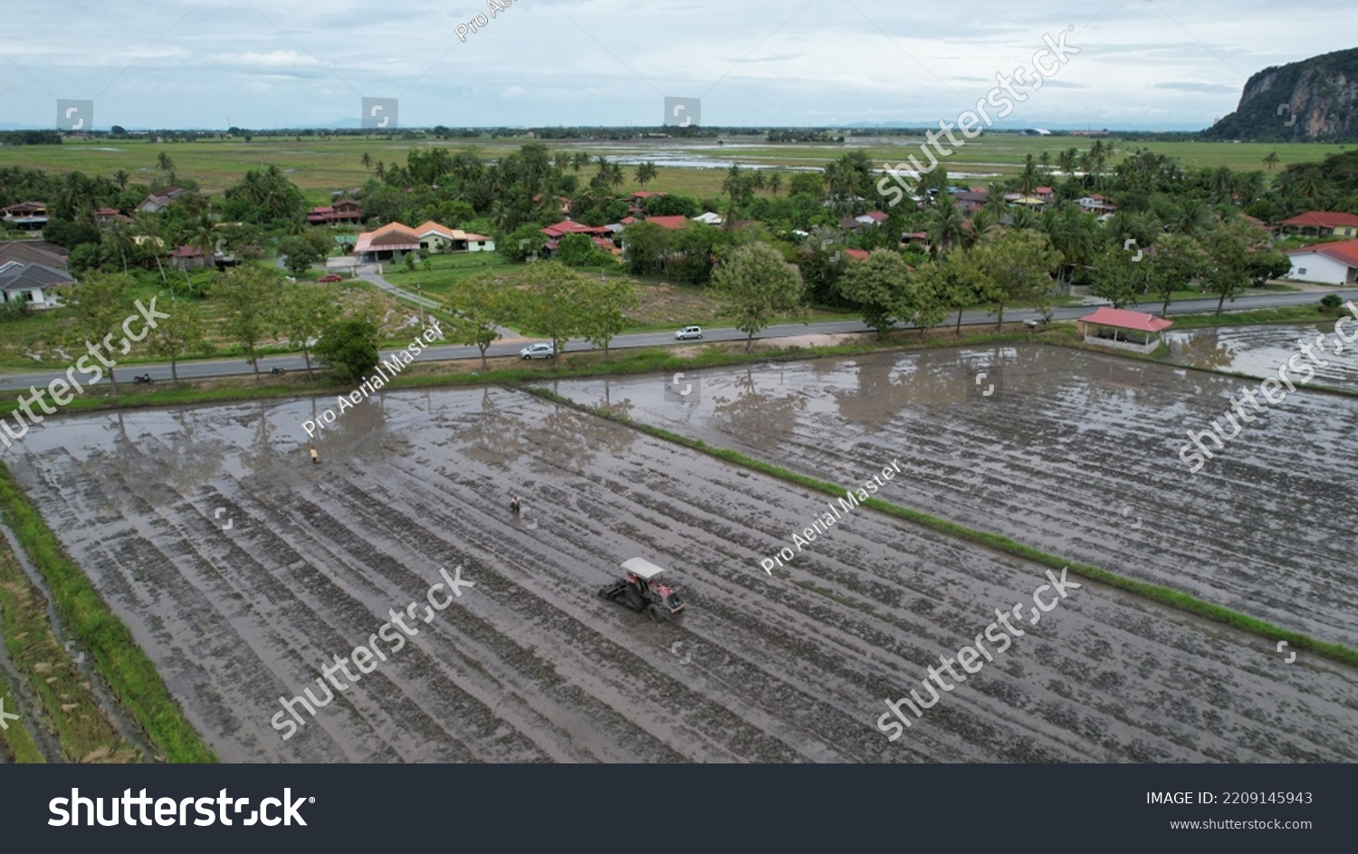 Alor Setar Malaysia September 24 2022 Stock Photo 2209145943 Shutterstock   Stock Photo Alor Setar Malaysia September Tractors Ploughing The Paddy Rice Fields In Kedah 2209145943 