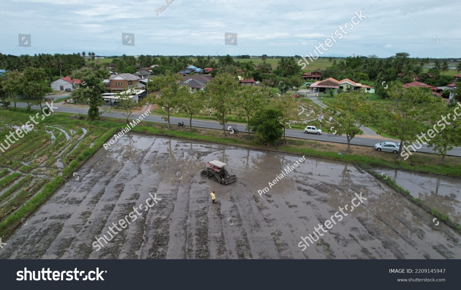 Alor Setar Malaysia September 24 2022 Stock Photo 2209145947 Shutterstock   Stock Photo Alor Setar Malaysia September Tractors Ploughing The Paddy Rice Fields In Kedah 2209145947 