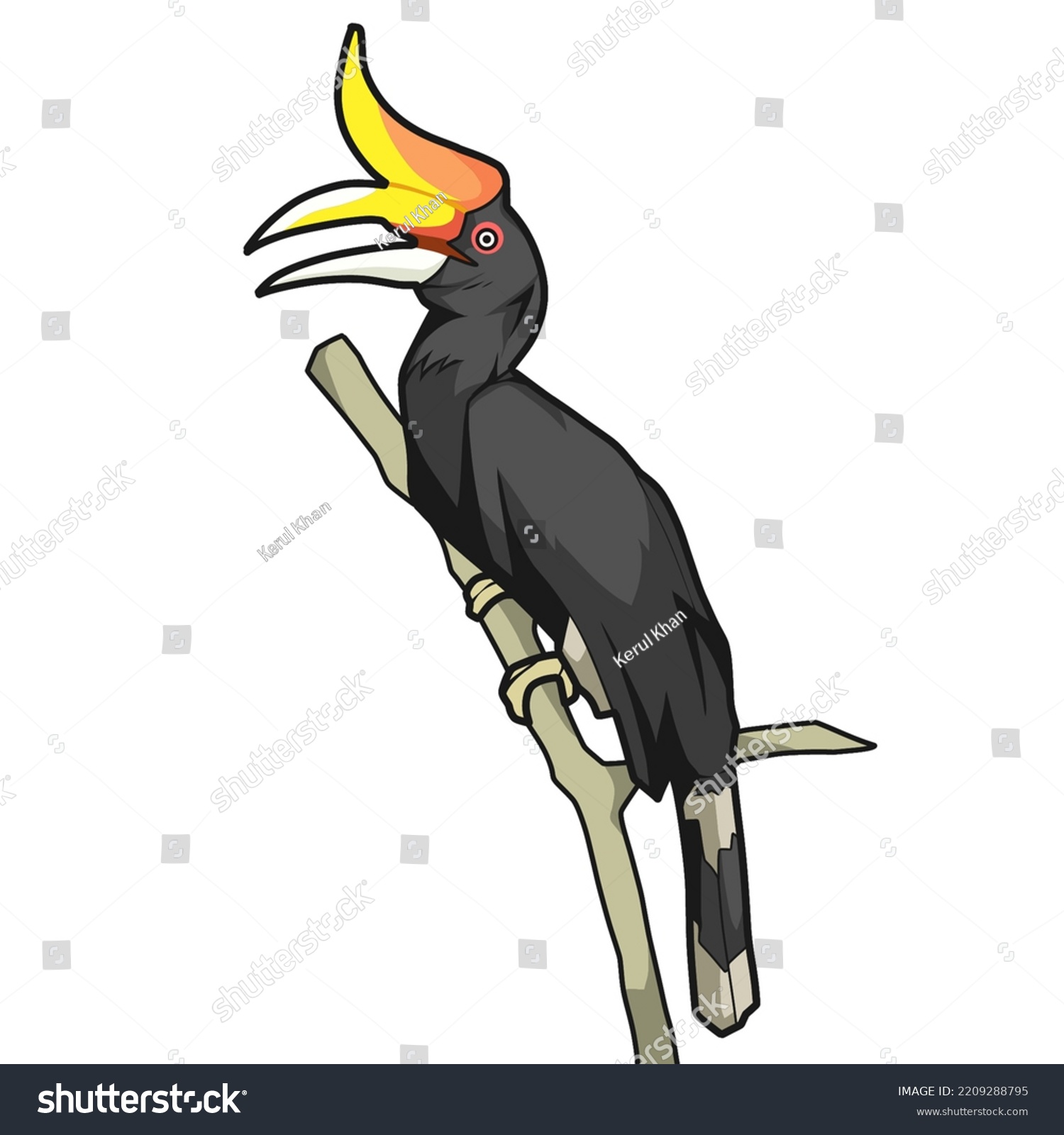 Rhinocerus Hornbill Enggang Badak Illustration Malaysia Stock ...