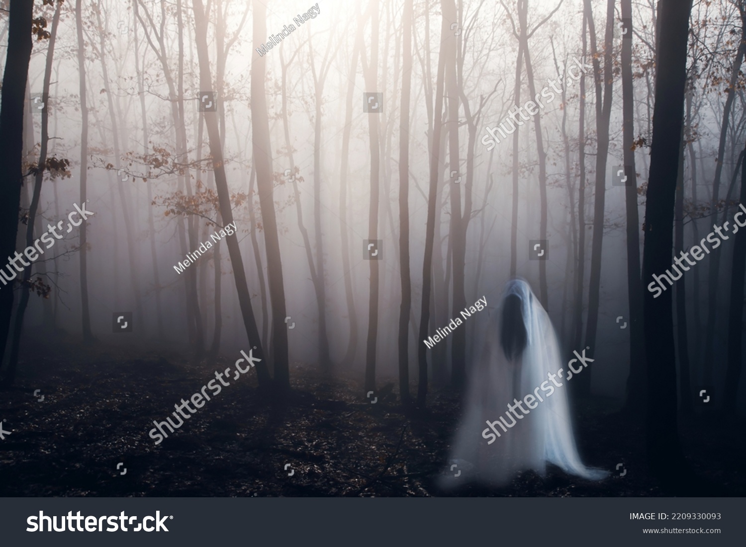 Horror Background Ghostly Figure Enchanted Forest Stock Photo