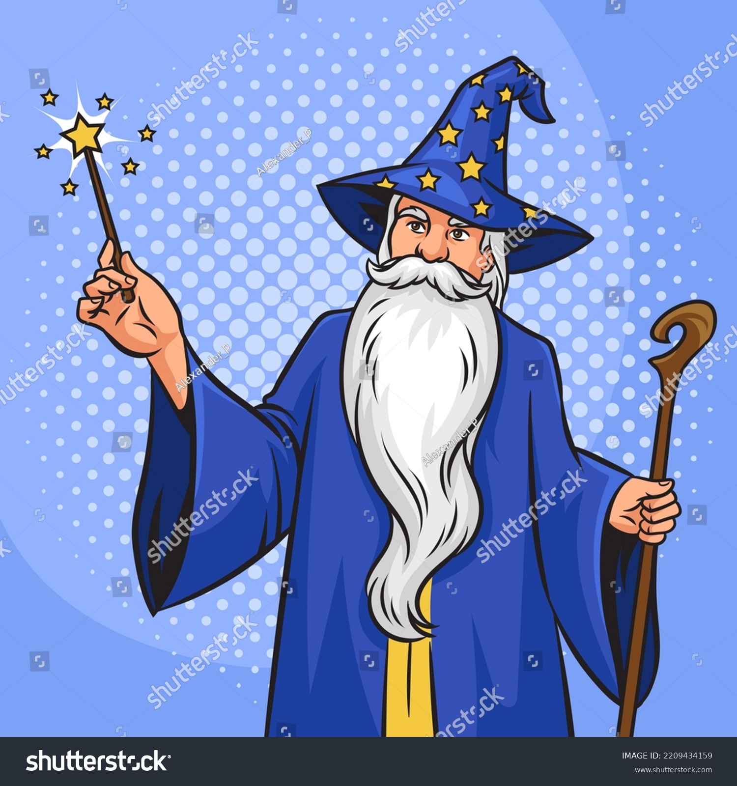 Wizard Magician Charmer Old Man Fairy Stock Vector Royalty Free 2209434159 Shutterstock