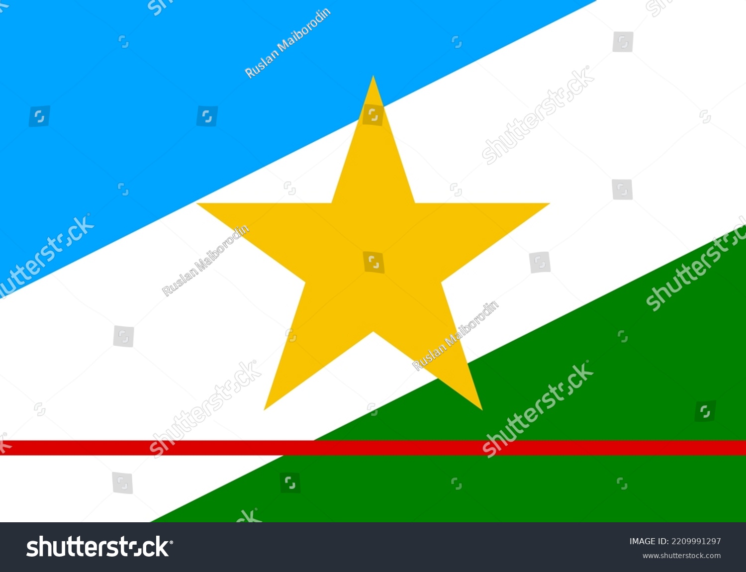 Roraima Flag State Brazil Vector Illustration Stock Vector (Royalty ...