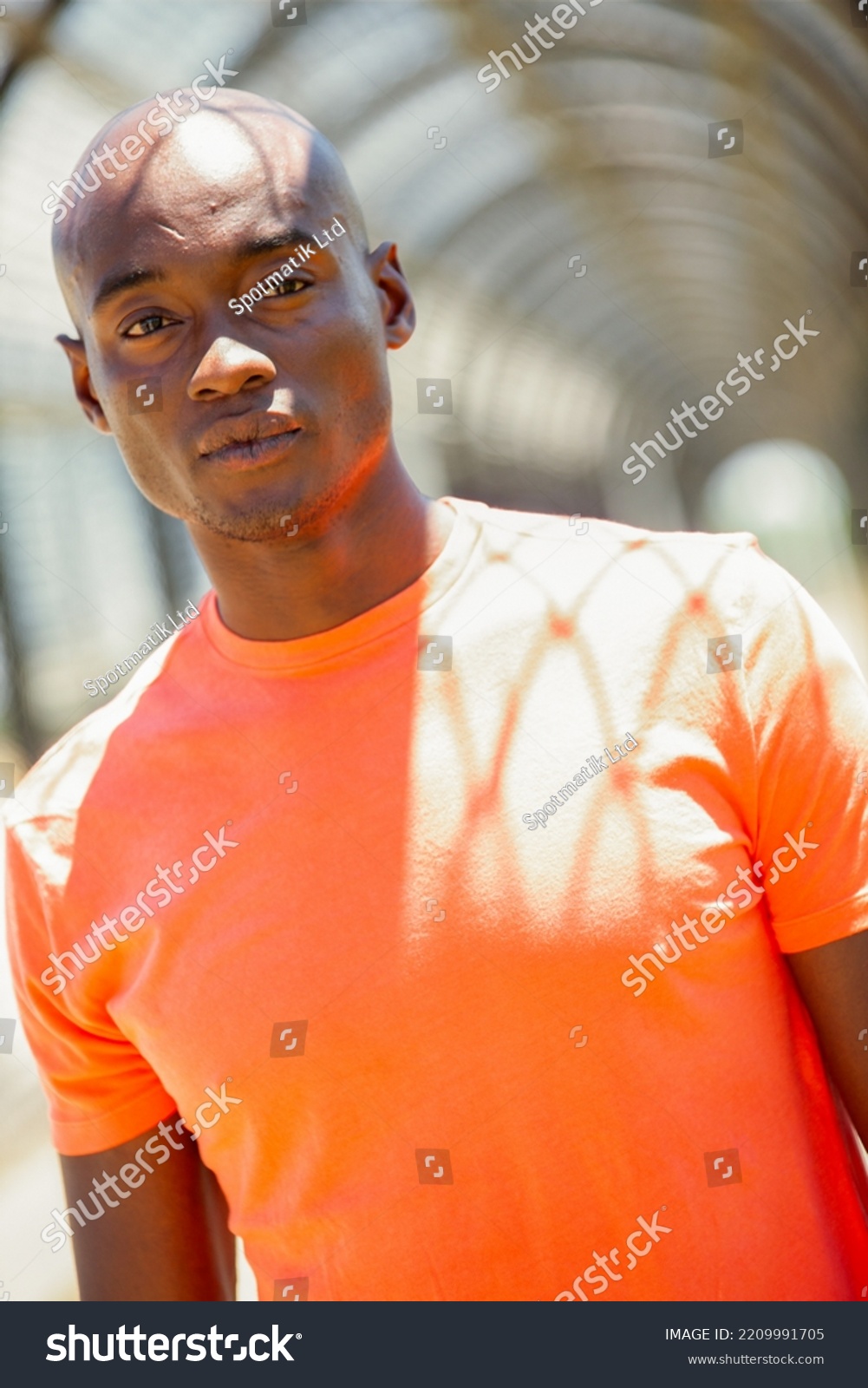 portrait-handsome-young-afro-american-male-stock-photo-2209991705