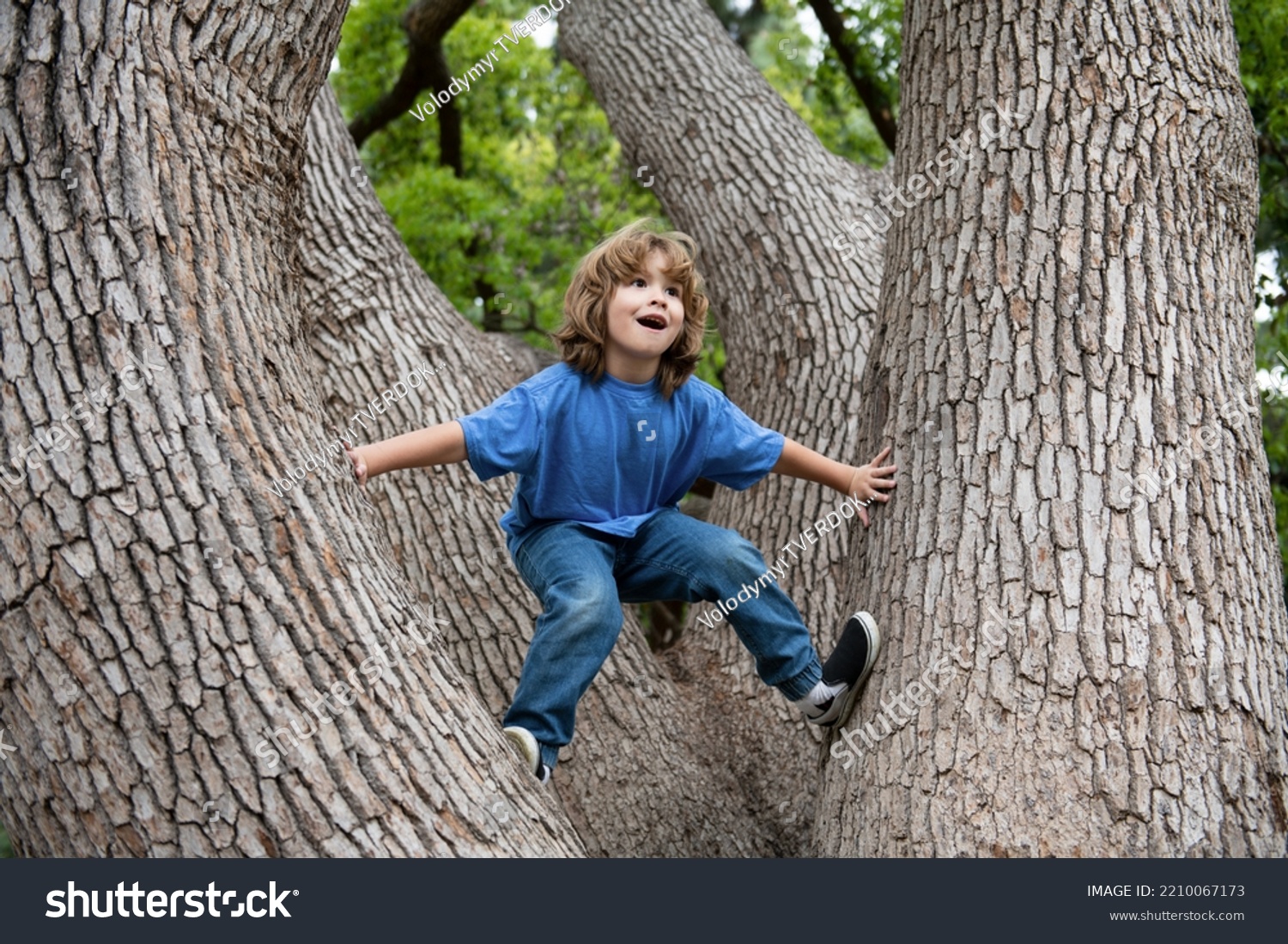 Little Cute Boy Climbing Tree Nature Stock Photo 2210067173 | Shutterstock