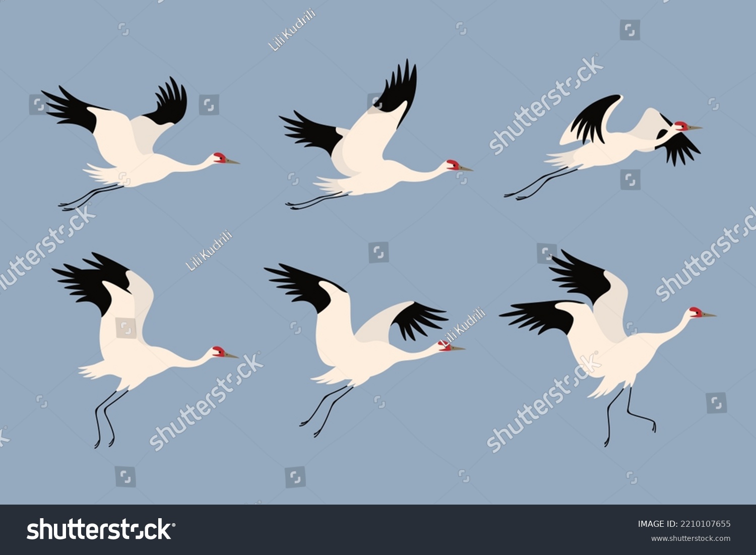 Crane Flying Cute Bird Different Poses Stock Vector (Royalty Free ...