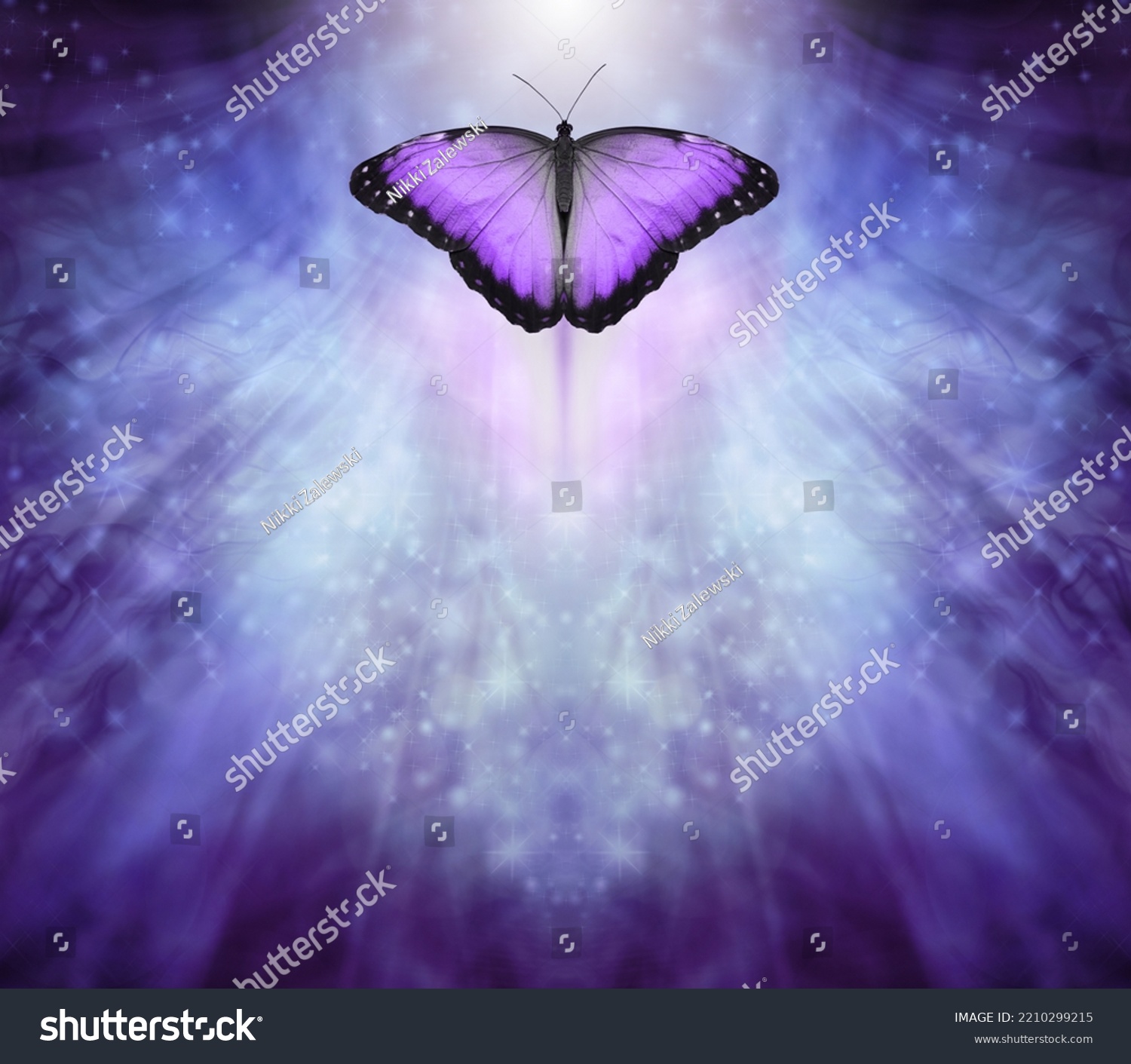 Butterfly Message Board Template Background Blue Stock Photo 2210299215 ...