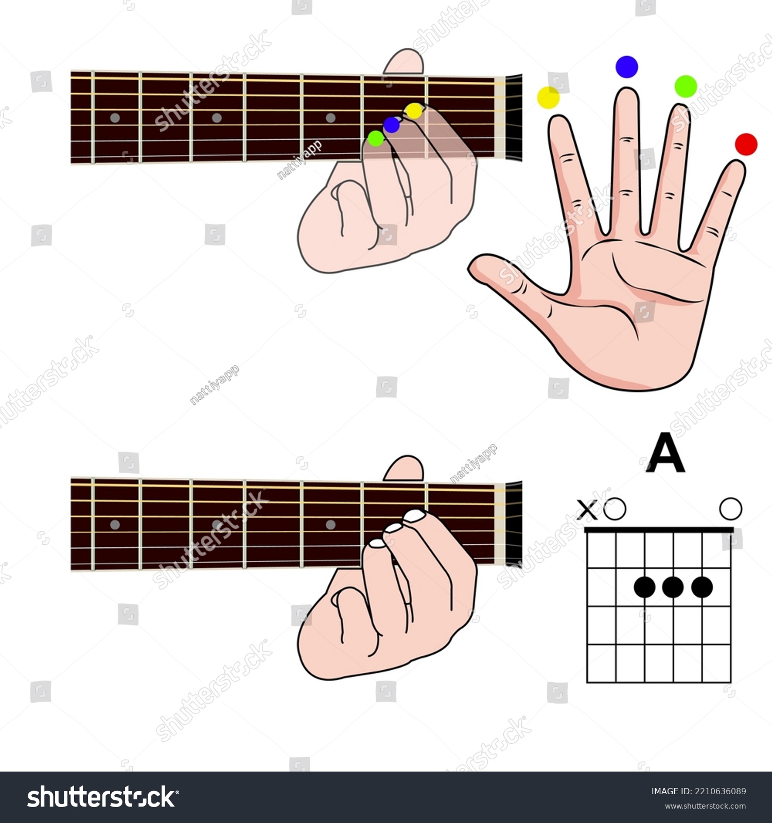 Guitar Chord Basic Hand Position Guitar Stock Vector (Royalty Free