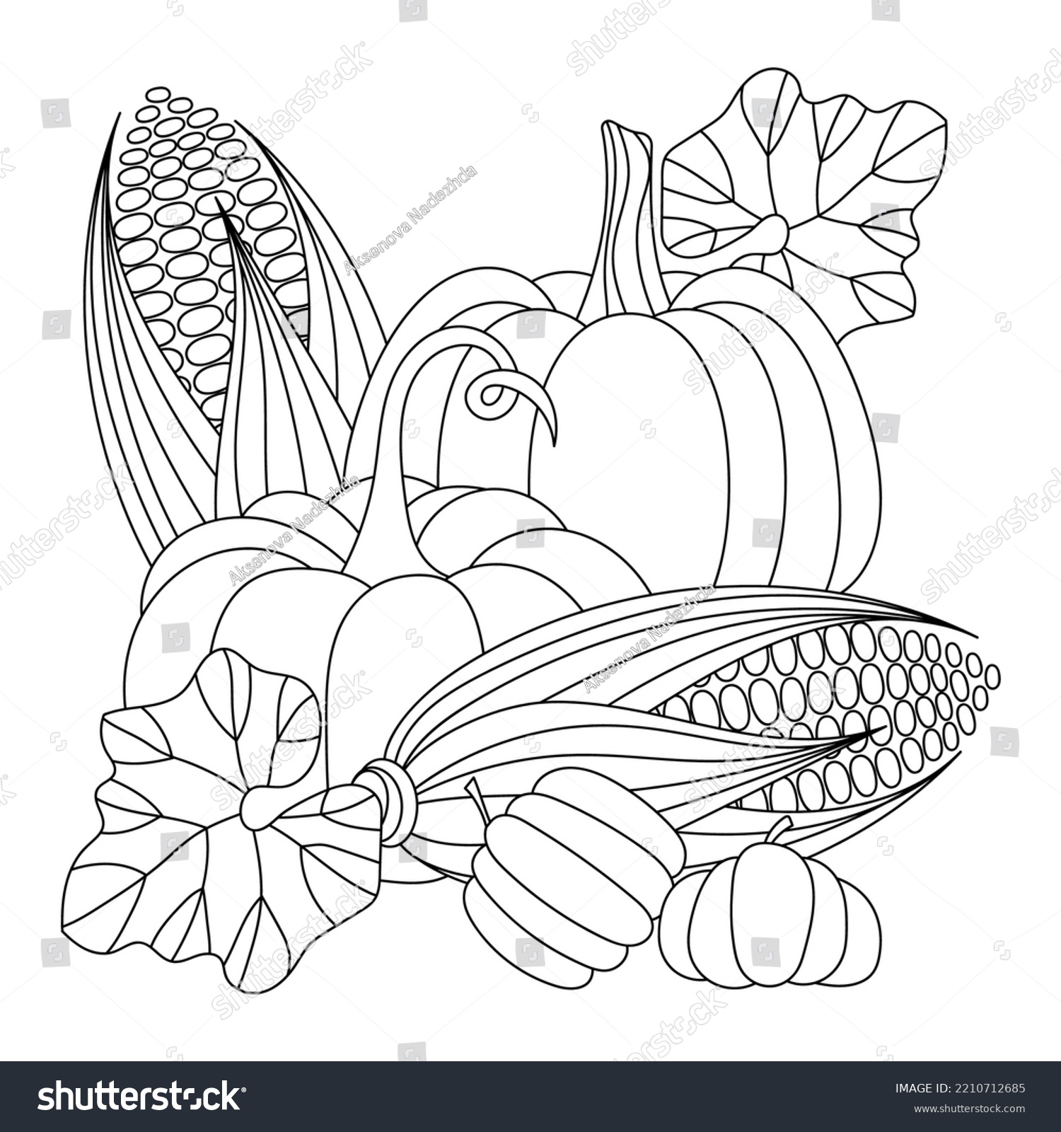 Harvest Coloring Book Page Corn Cobs Stock Vector (Royalty Free