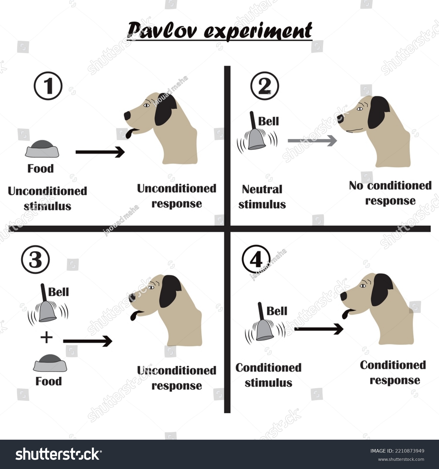 pavlov's dog experiment findings