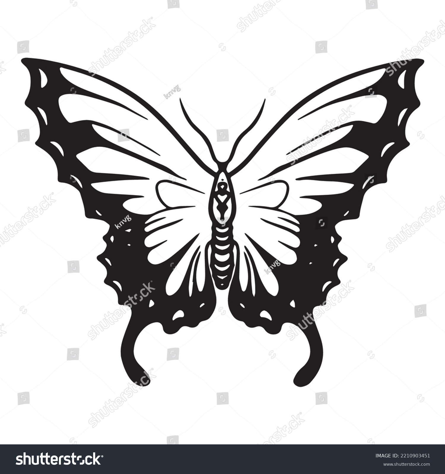 Vector Illustration Graphic Butterfly Art Tattoo Stock Vector (Royalty ...