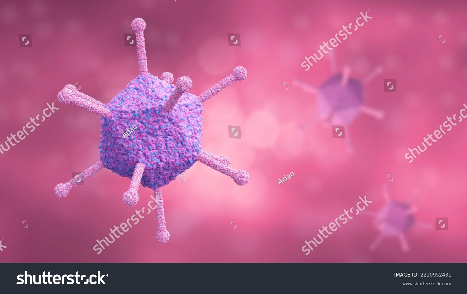 Human Adenoviruses Viruses That Can Cause Stock Illustration 2210952431 ...