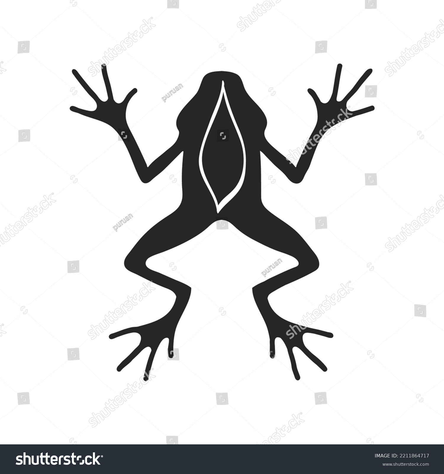 Hand Drawn Lab Frog Vector Illustration Stock Vector (royalty Free 