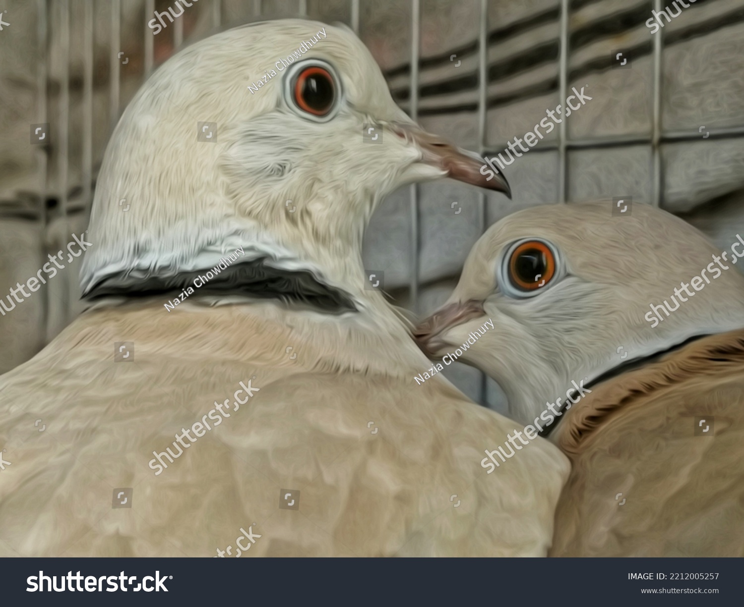 Most Beautiful Australian Dove Bird Cage Stock Illustration 2212005257 