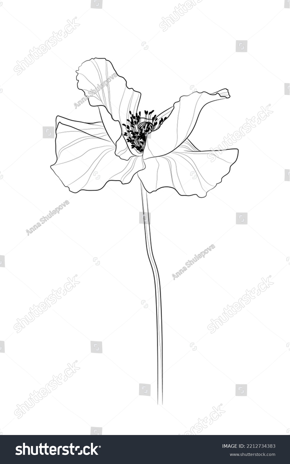 Black Outline Poppy Flower On White Stock Vector (Royalty Free