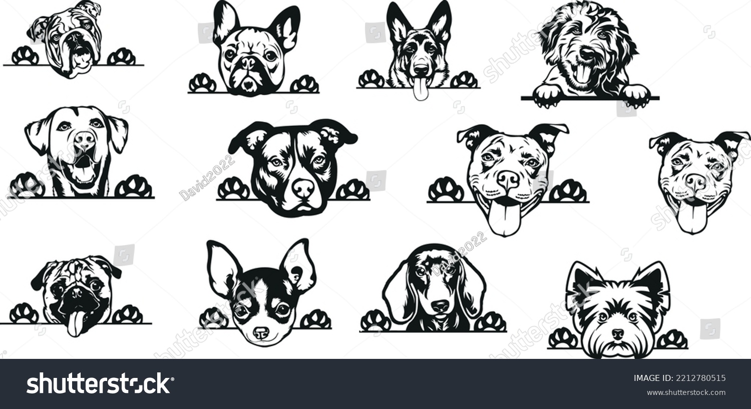 1 Australian Shepard Vector Images Images, Stock Photos & Vectors ...