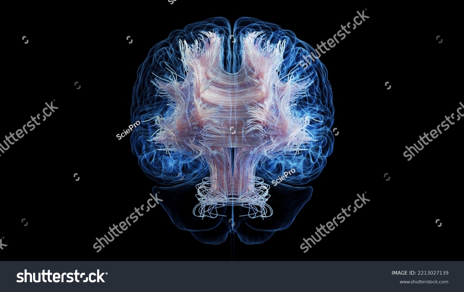 3d Rendered Medical Illustration White Brain Stock Illustration ...