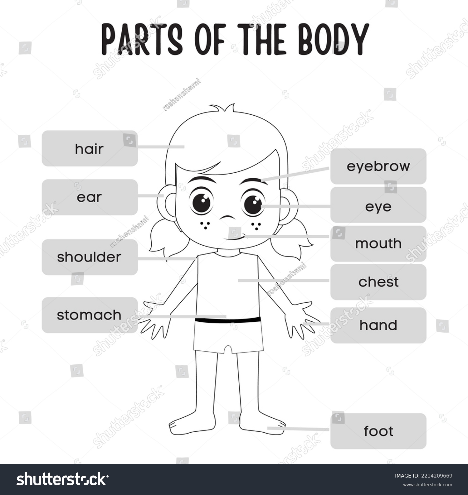 Editable Illustrated Parts Body Science Worksheet Stock Vector (Royalty ...