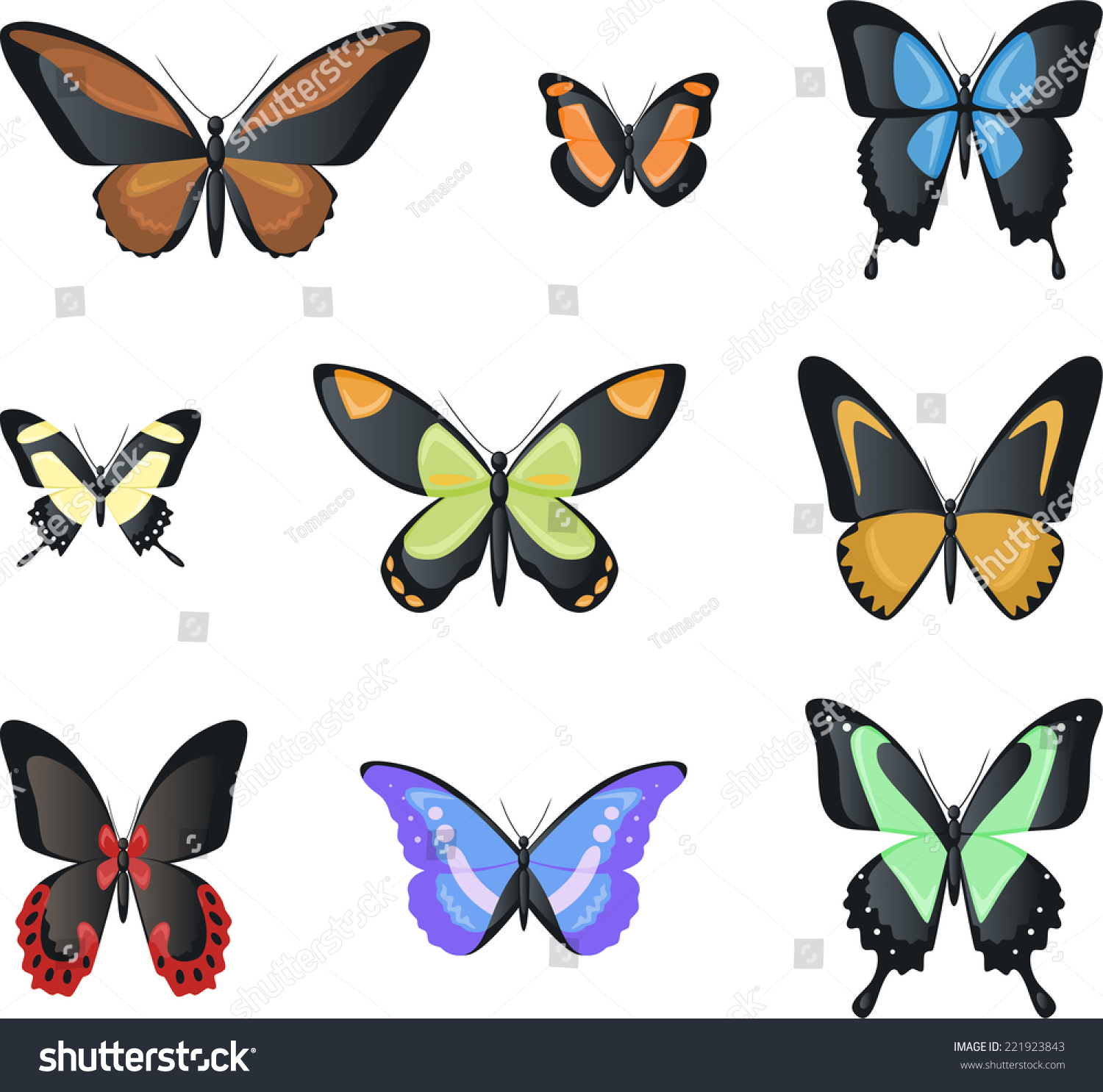 Nine Isolated Butterflies Nine Flying Malachite Stock Vector (Royalty ...