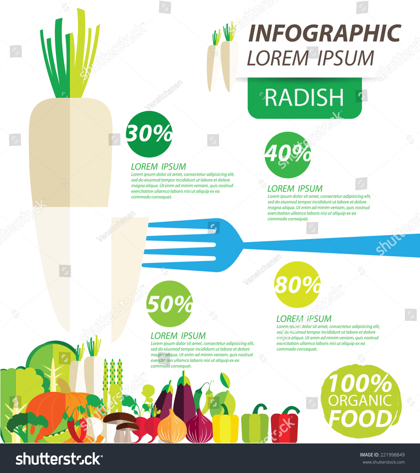 Vektor Stok Radish Infographics Vegetables Vector Illustration Tanpa Royalti 221998849 3029