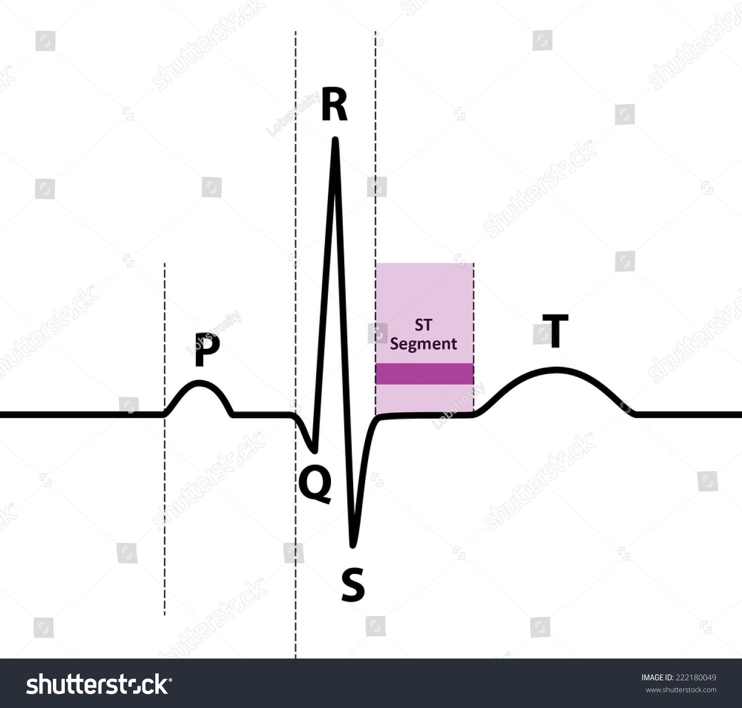 Ecg Naming Sequence Version 2 Part Stock Vector (royalty Free 