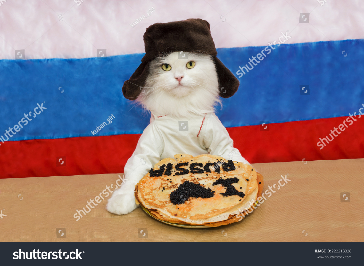 russian hat for cat