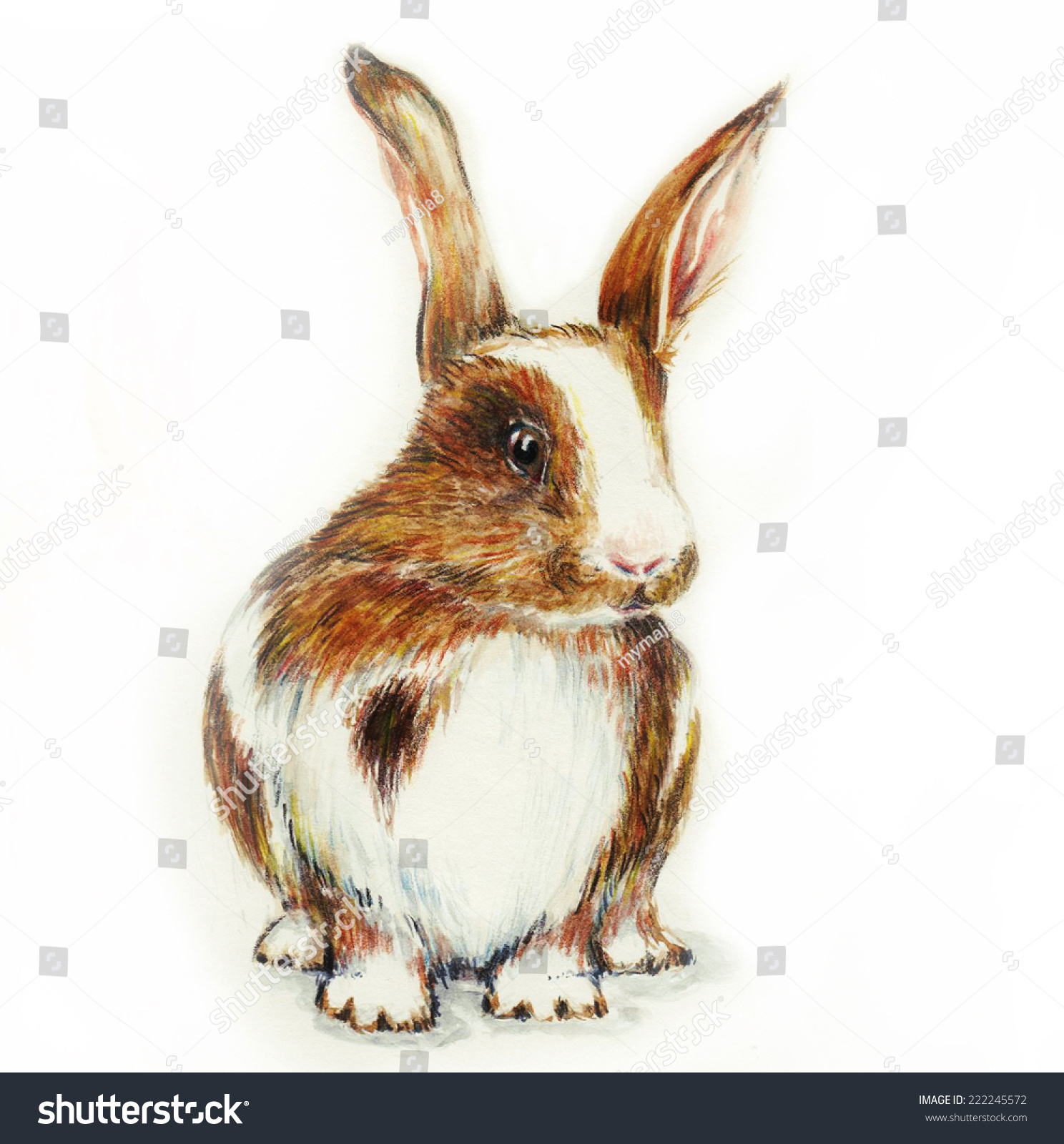 Hand Drawn Rabbit Stock Illustration 222245572 