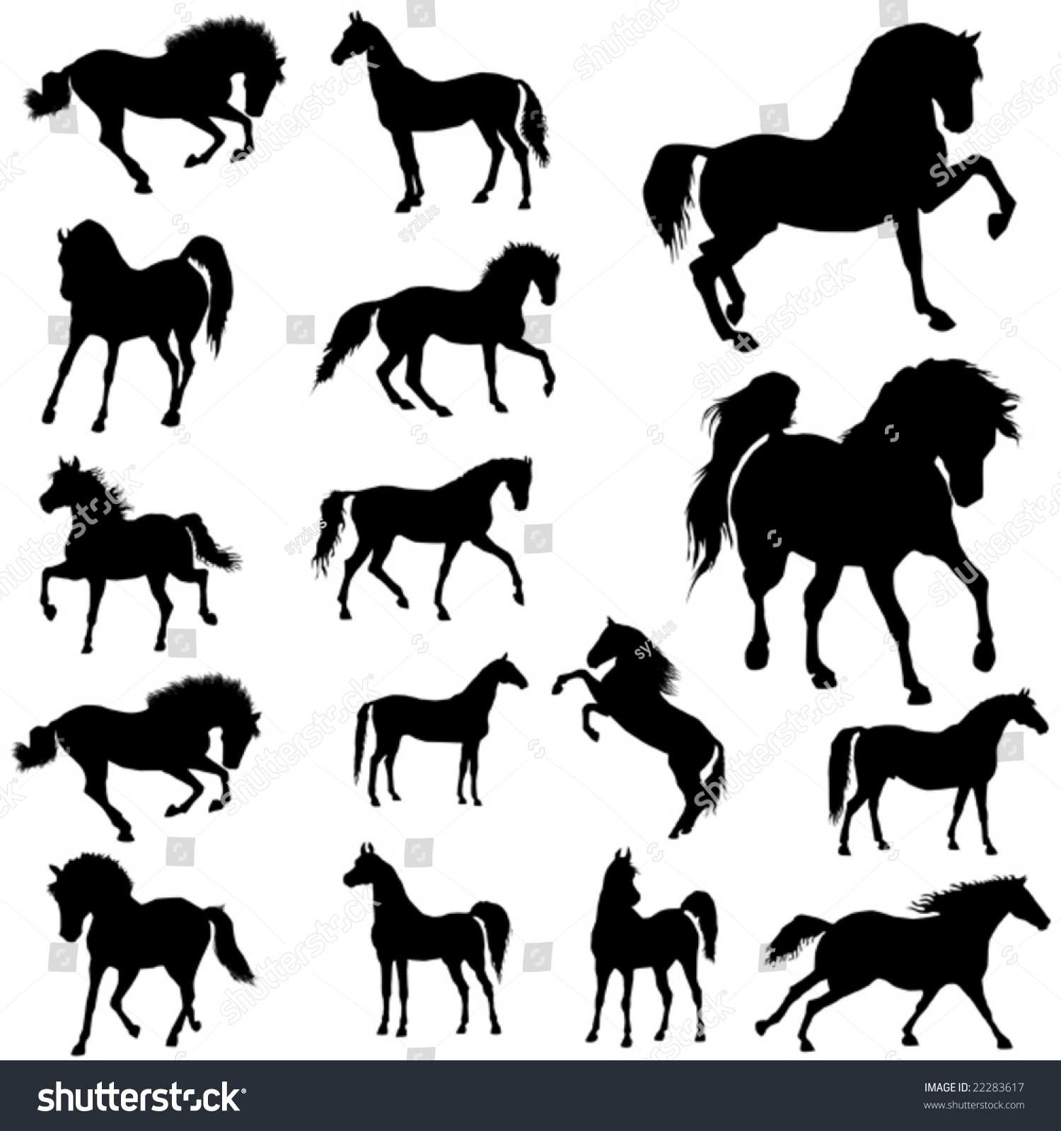 Collection Horses Part 1 Stock Vector (Royalty Free) 22283617 ...