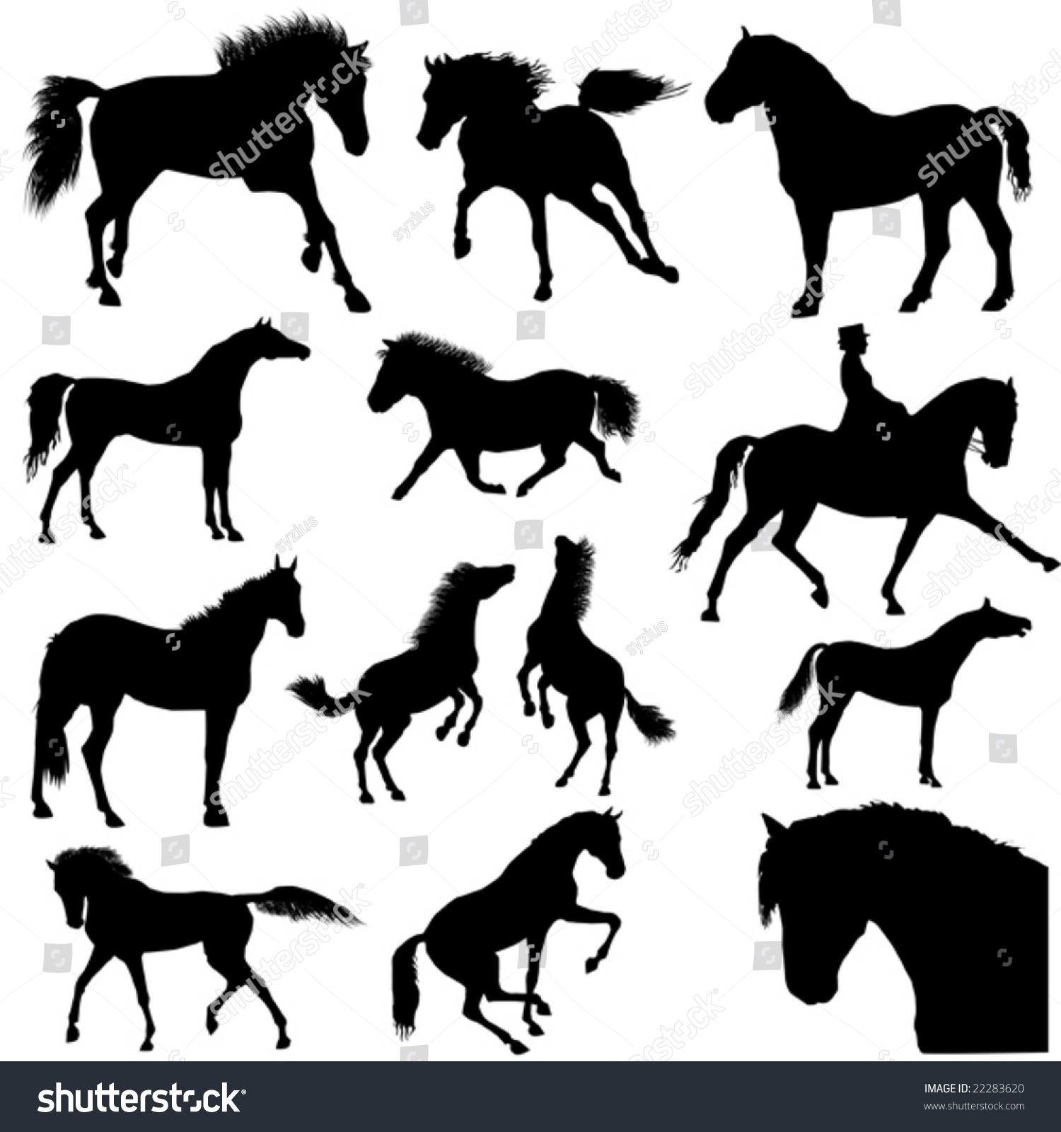 Collection Horses Part 2 Stock Vector (Royalty Free) 22283620 ...