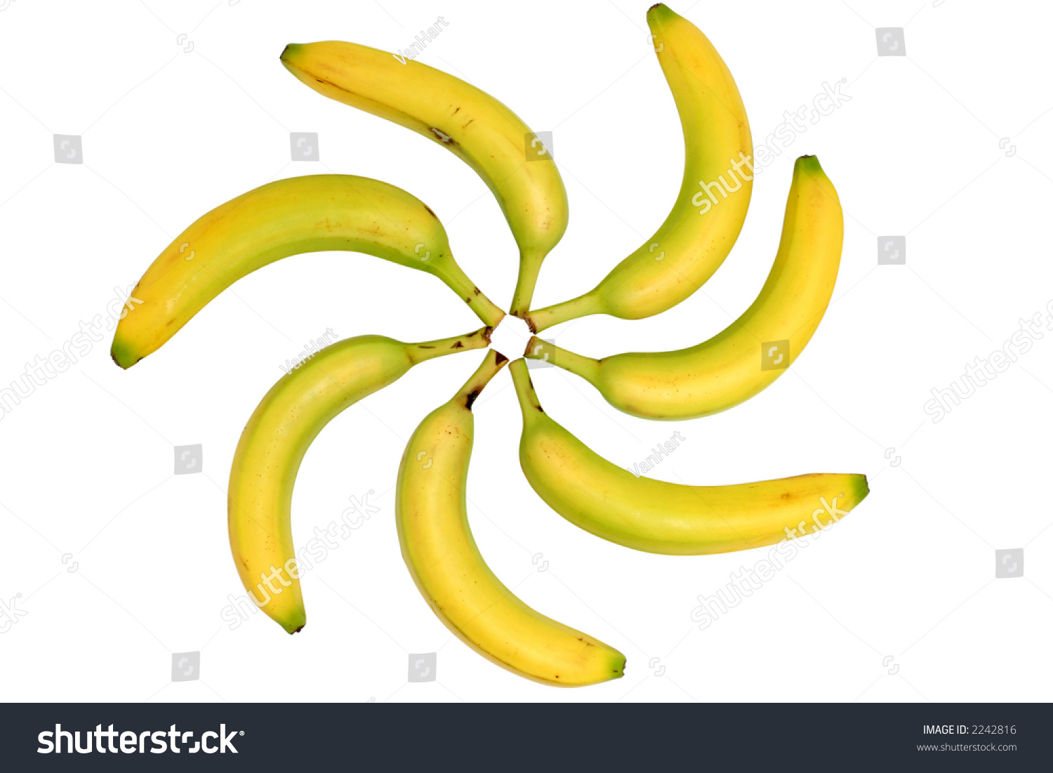 Север Банановый Флирт