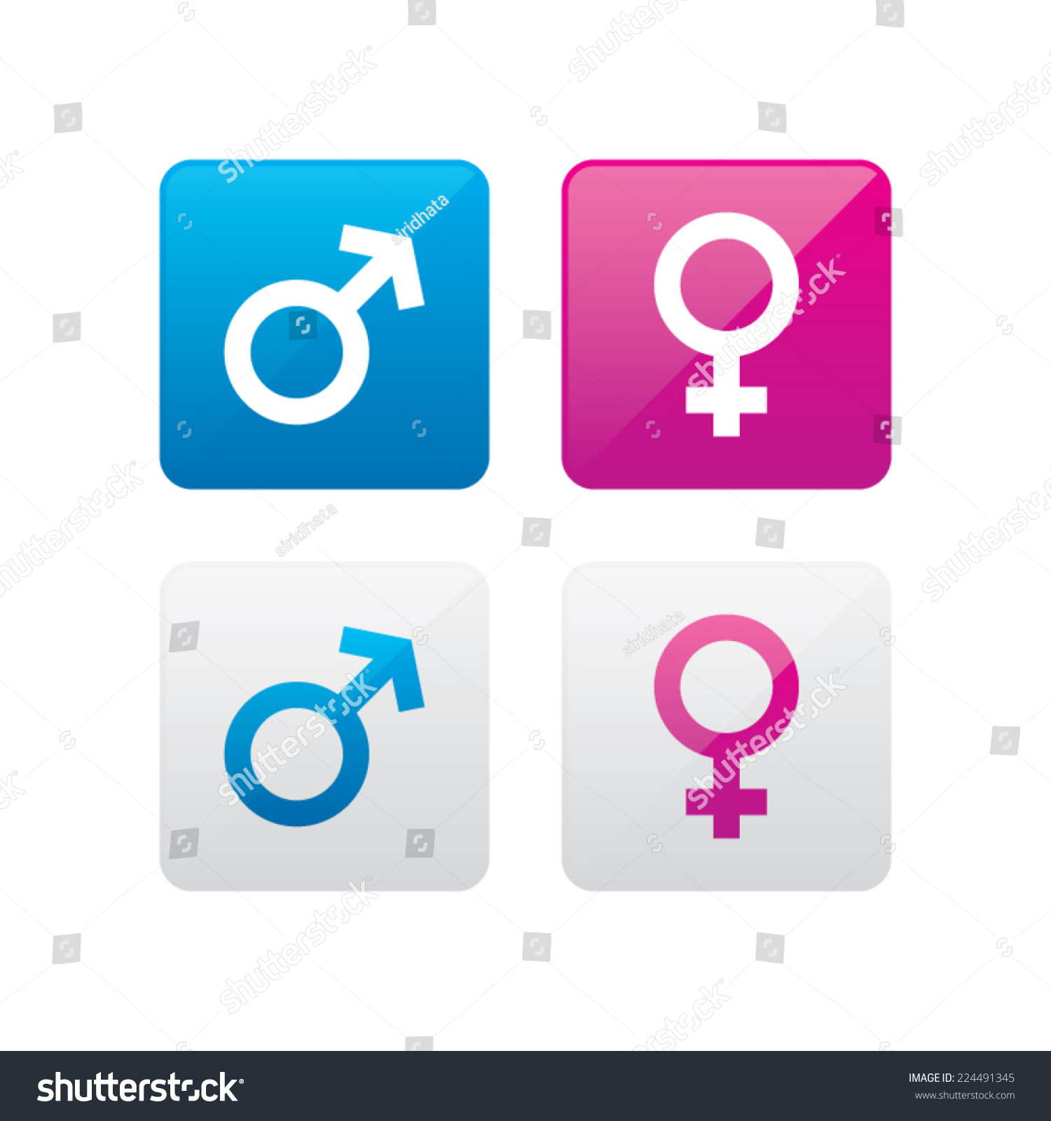 Male Female Gender Icons Stock Vector (Royalty Free) 224491345 ...