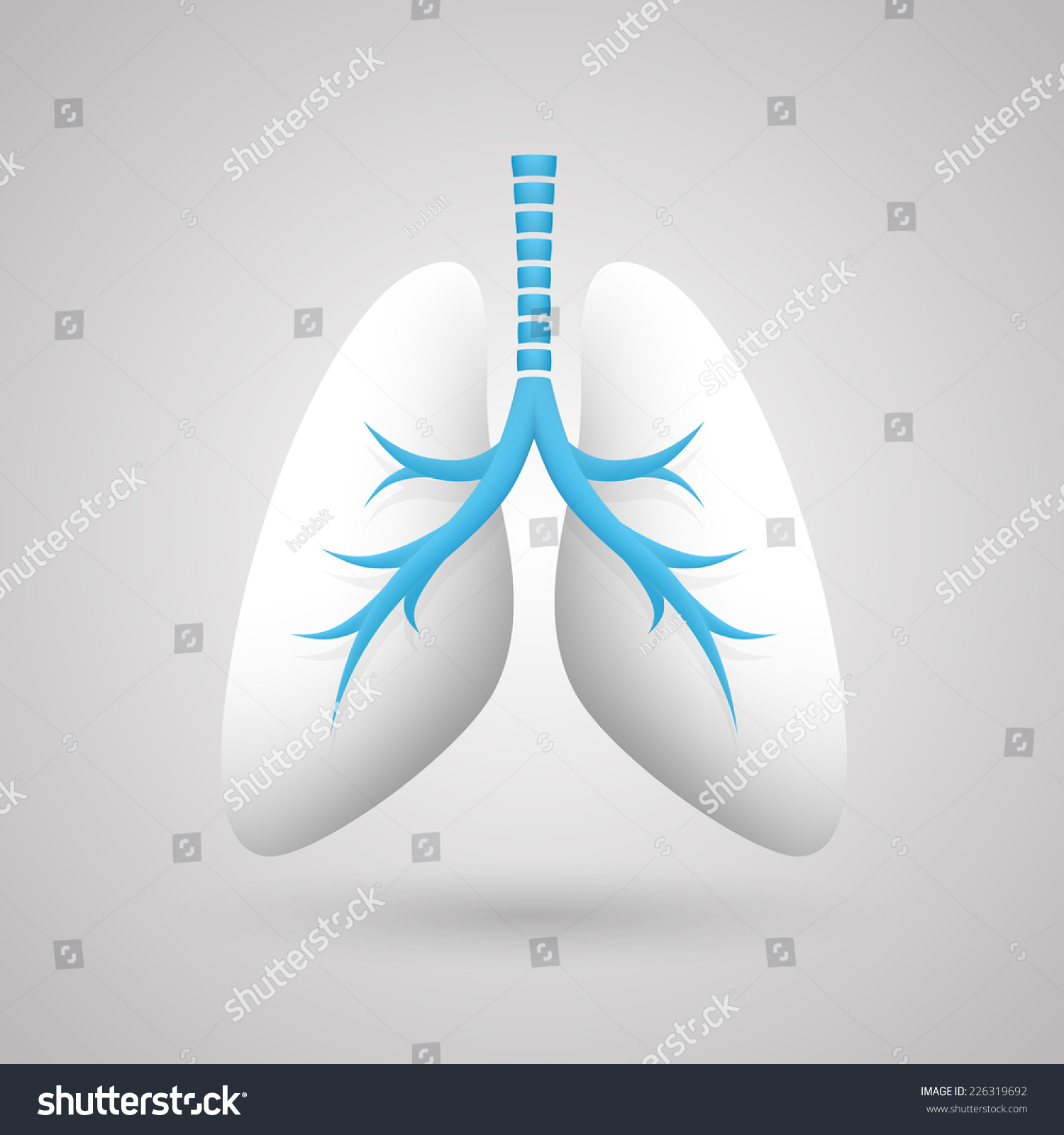 Human Lungs Vector Illustration Stock Vector (Royalty Free) 226319692 ...