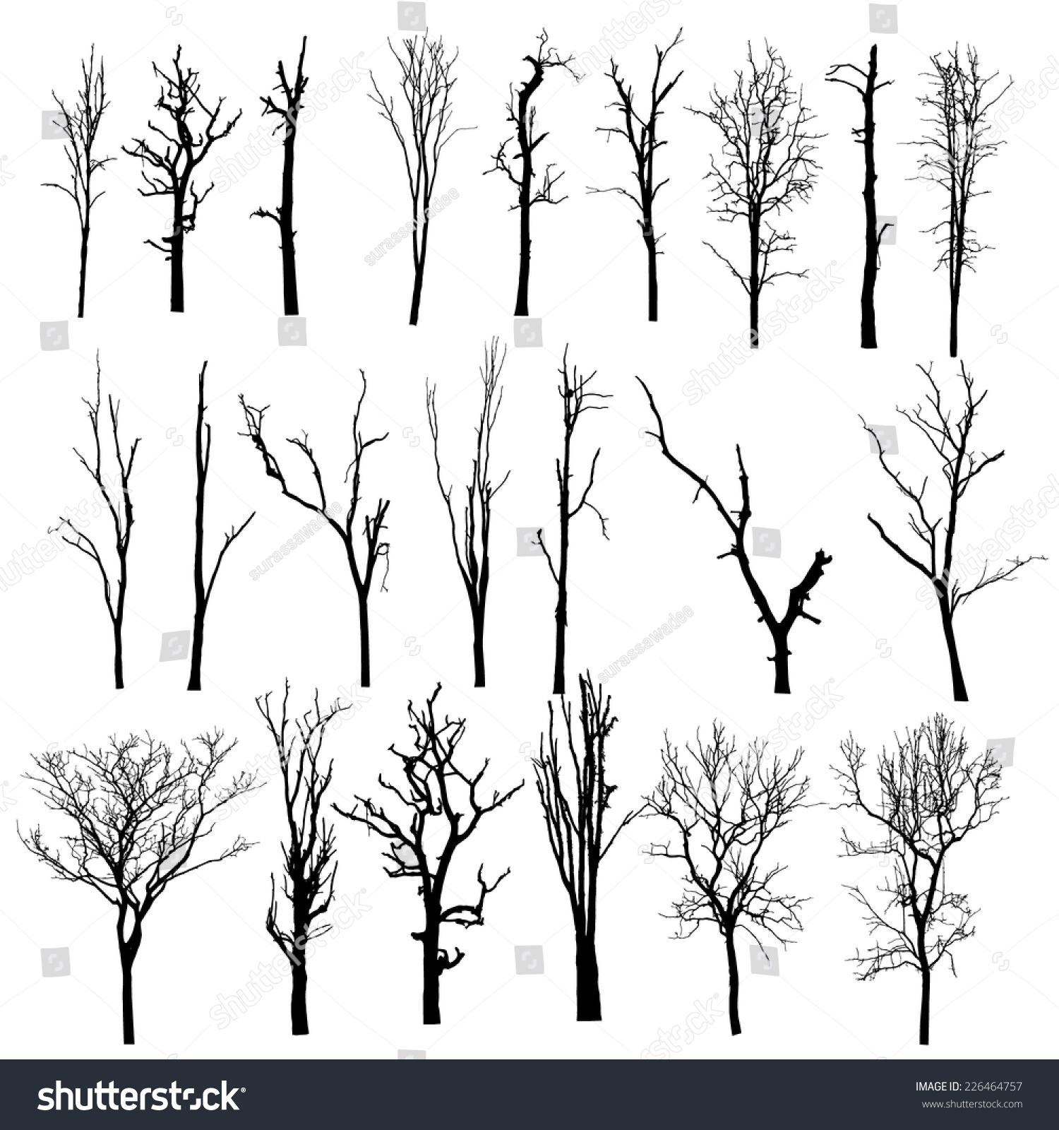 17,846 Tall Tree Trunks Silhouette Images, Stock Photos & Vectors ...