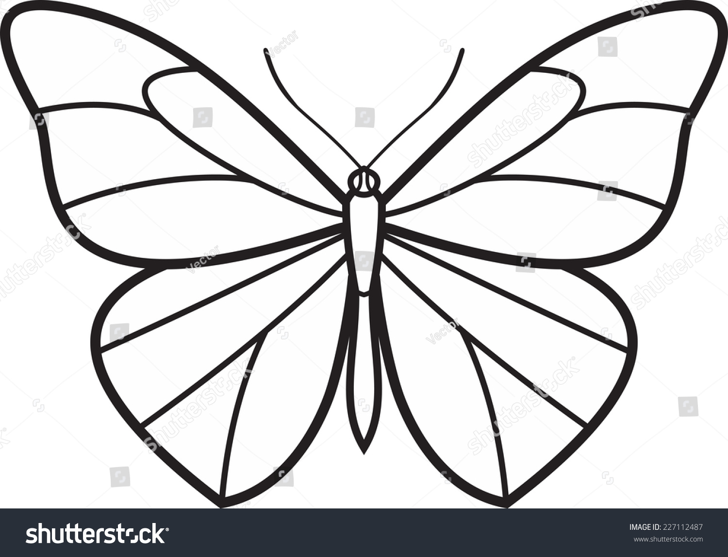 Бабочки рисунки карандашом простые