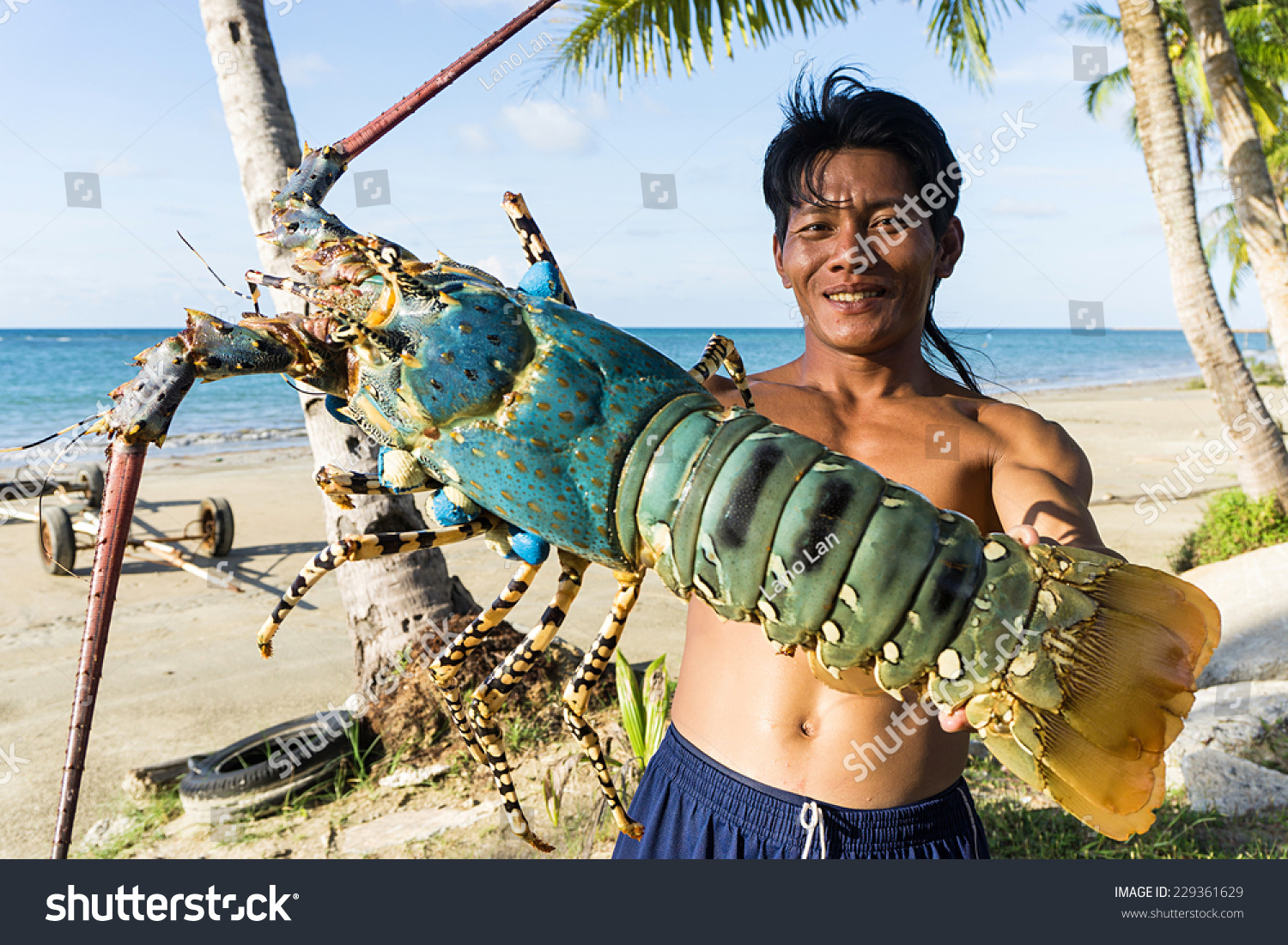 Самого большого в мире лобстера. Омары в Тайланде. Гигантский Омар. Самые большие омары. Самый большой лобстер в мире.