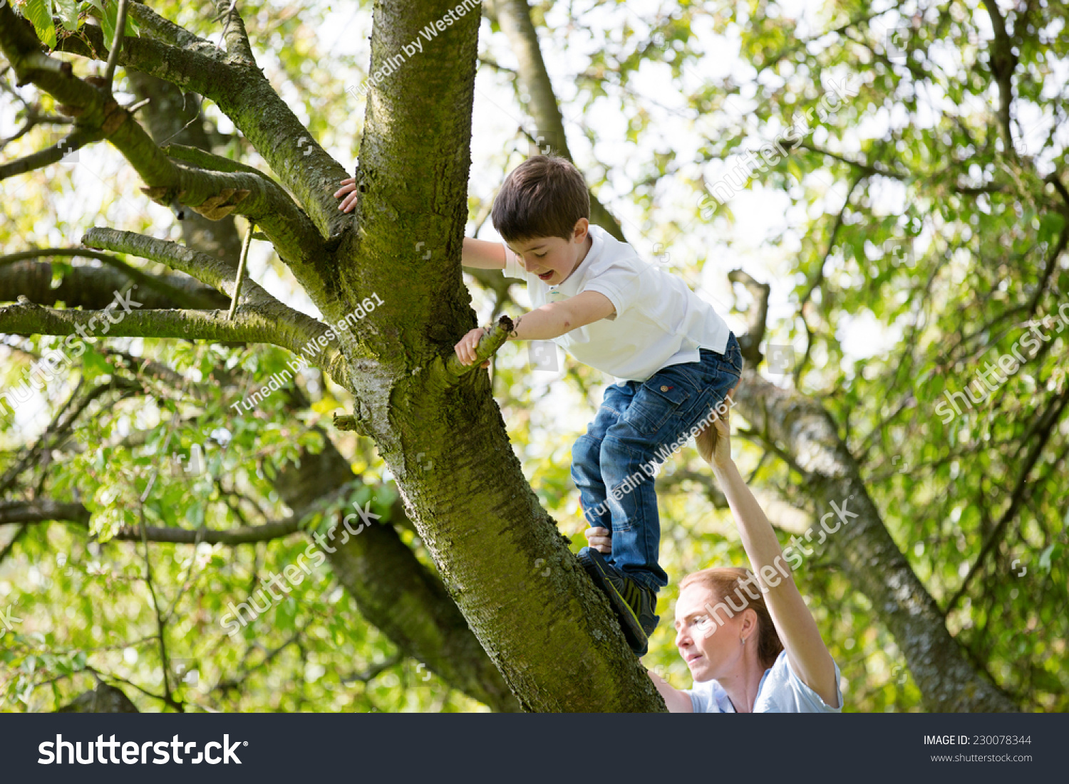 Can you climb a tree. Мальчик на дереве. Дерево для детей. Взбираться на дерево. Дети лазят по деревьям.