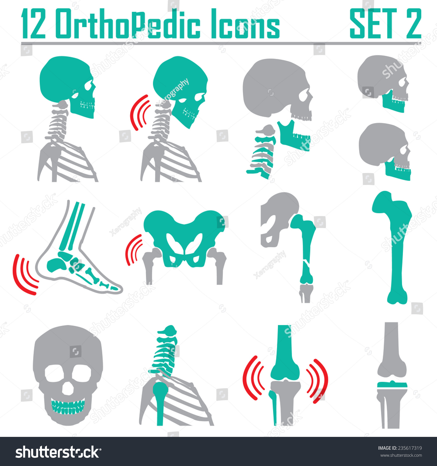 12 Orthopedic Spine Symbol Set 2 Stock Vector (Royalty Free) 235617319 ...