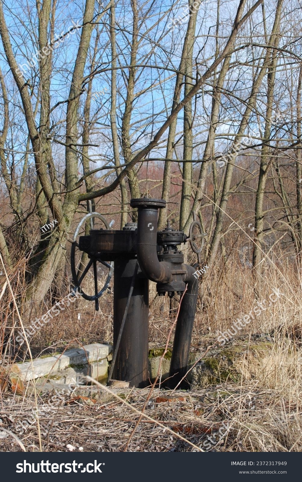 Старый кран с рулем на газовой трубе, расположенный в лесу, солнечный весенний день. Автор фото @iThyx