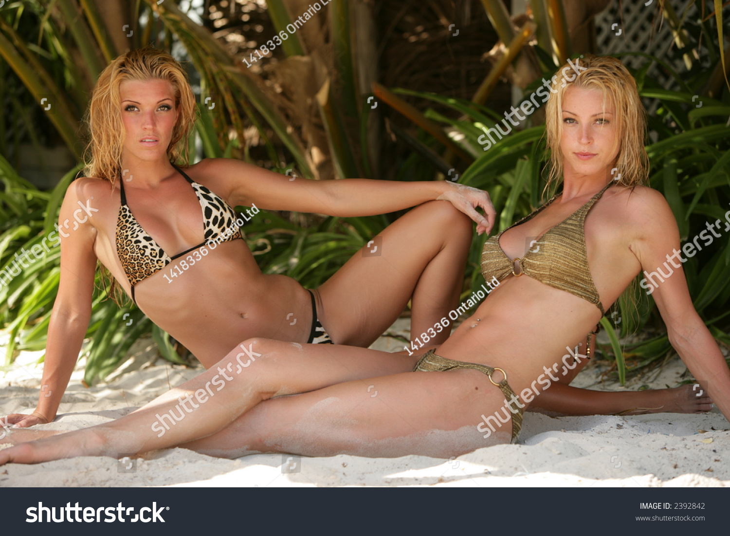 Exotic Bikini Babes