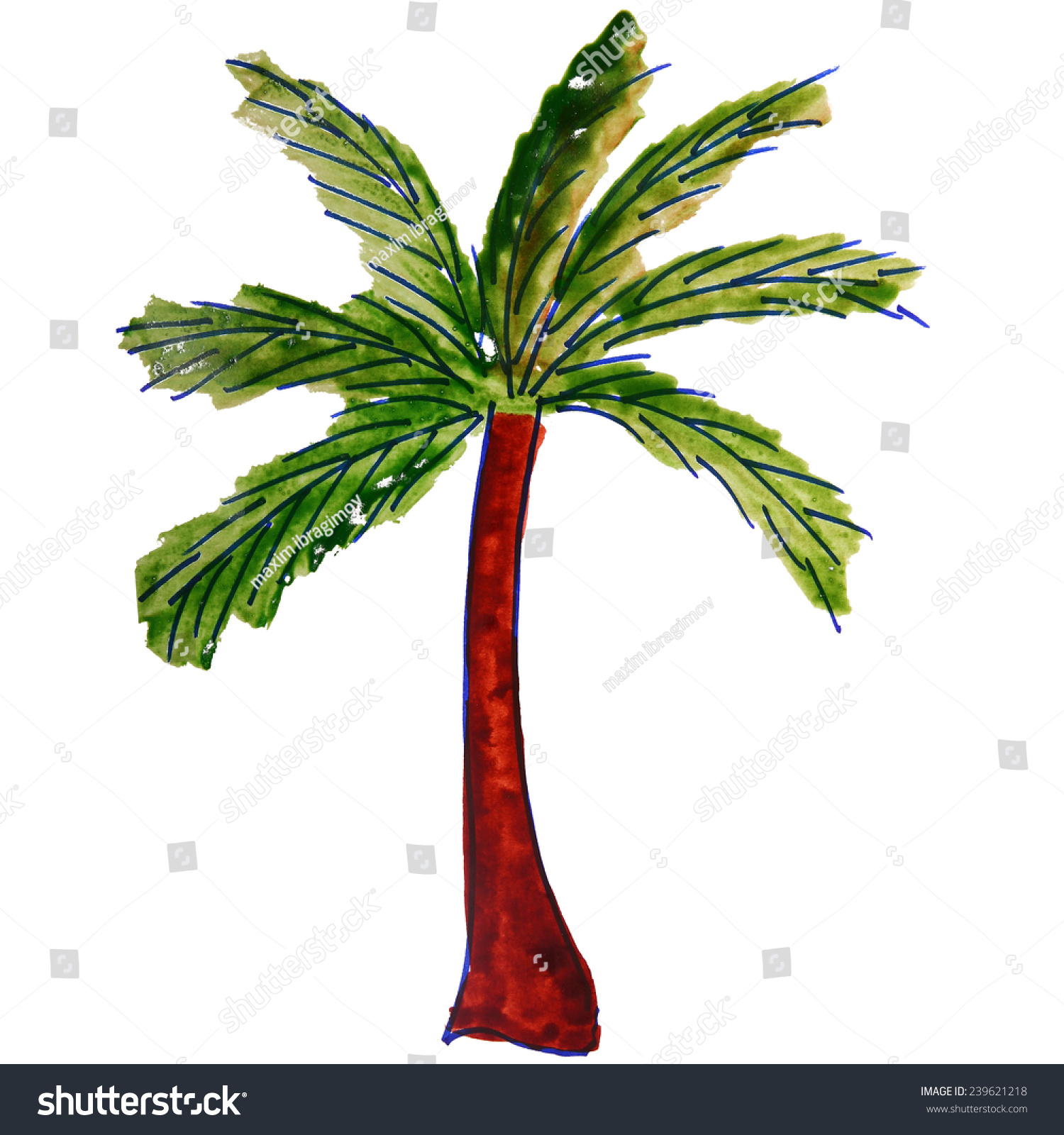 palm tree drawing for kids